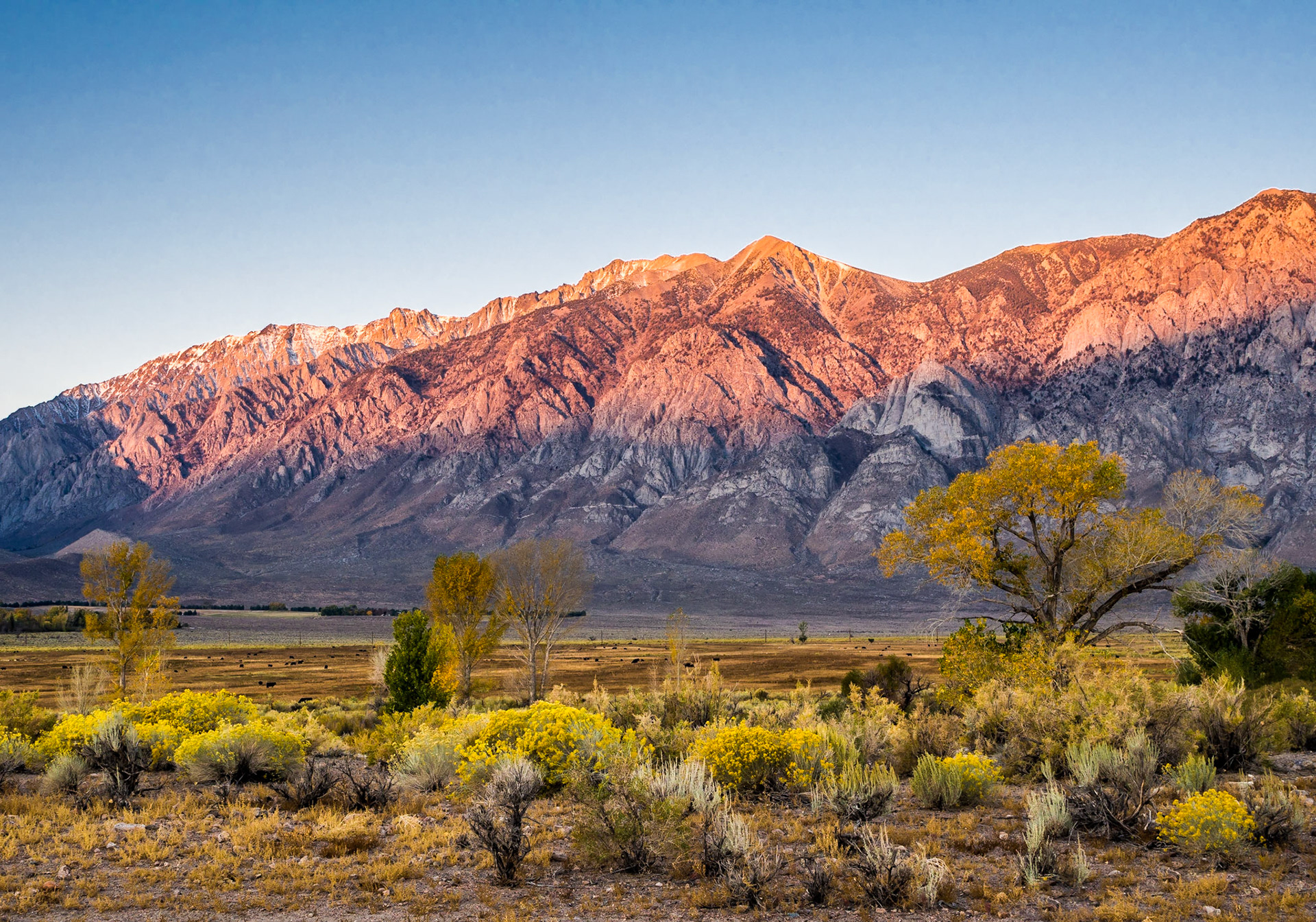 First Light on the Sierras Around Bishop