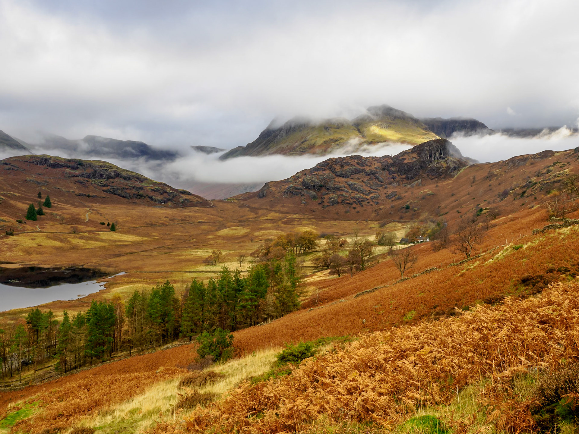 Blea Tarn-Lingmoor Fell-Side Pike hike