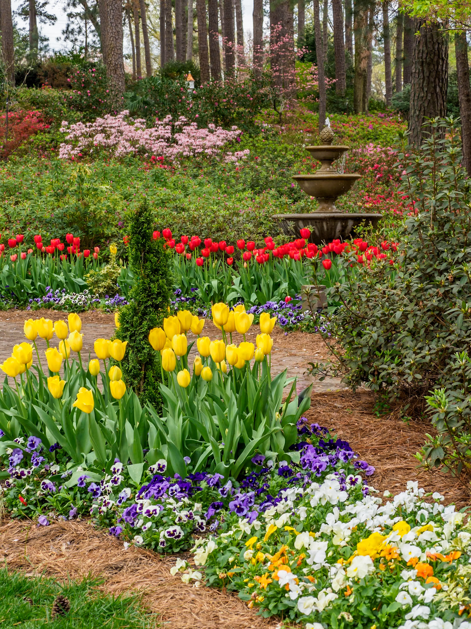 WRAL Gardens, Raleigh, NC