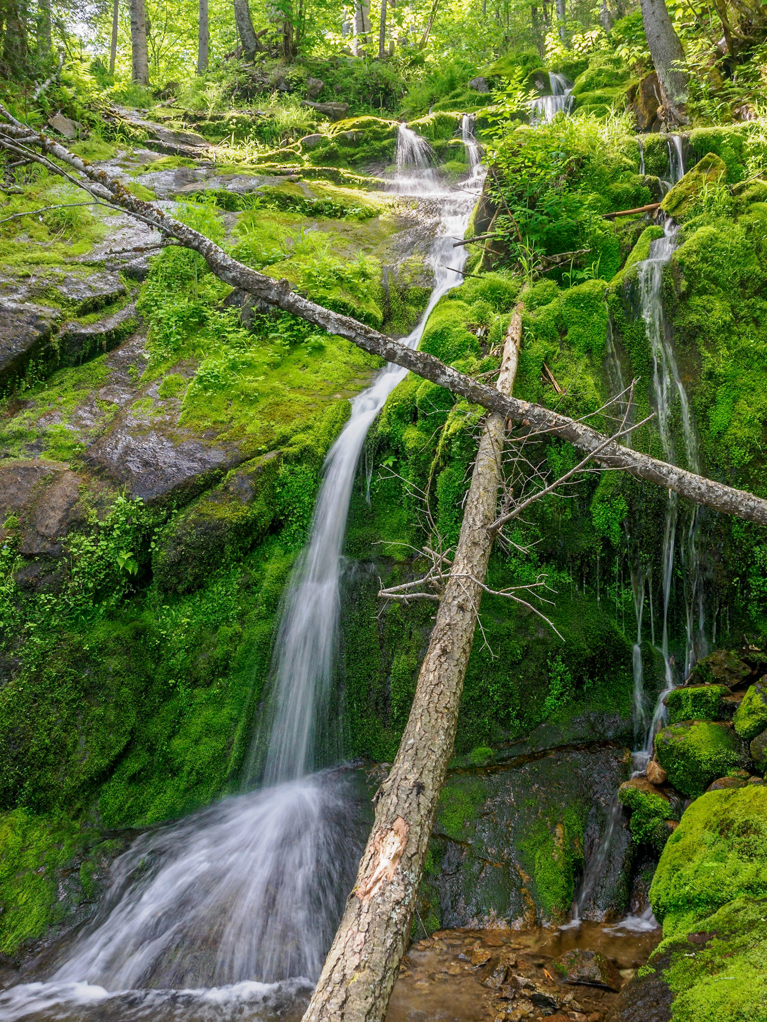 The small waterfall at points along its way to Eternity Bay.