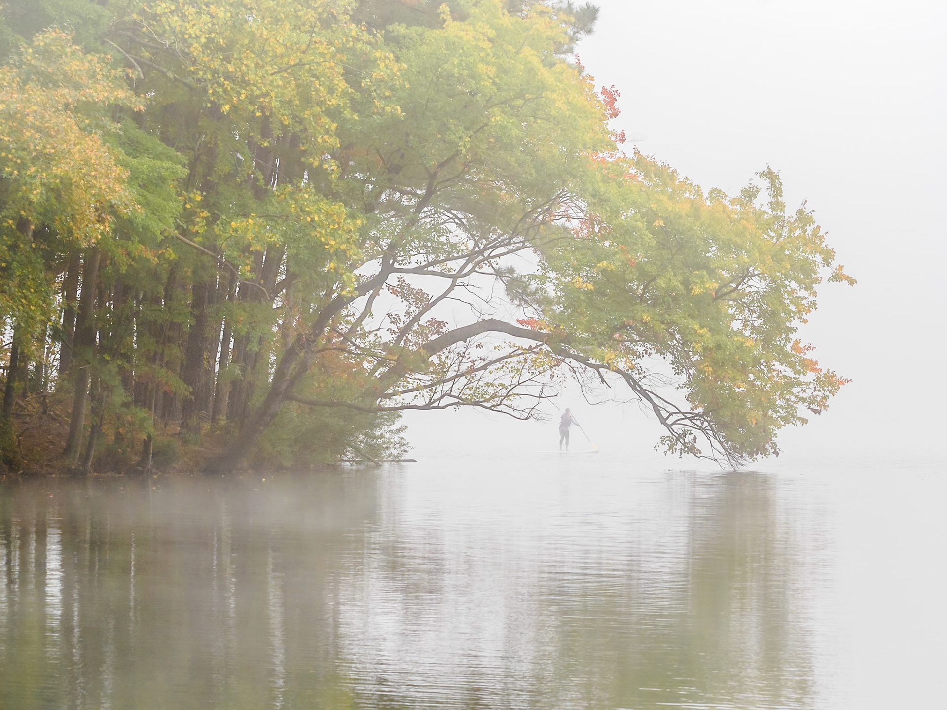 Lake Johnson, Raleigh, NC