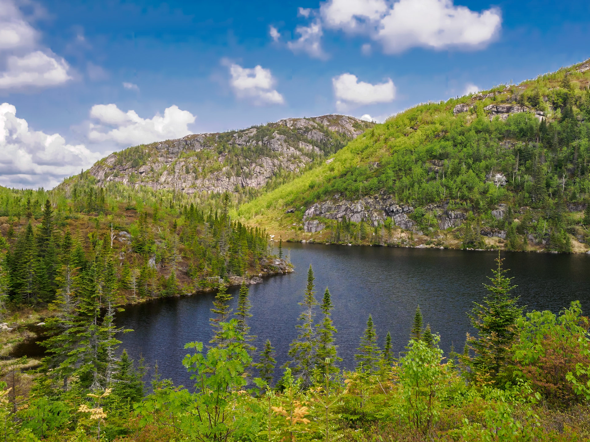 Grands-Jardins NP, Quebec, Canada