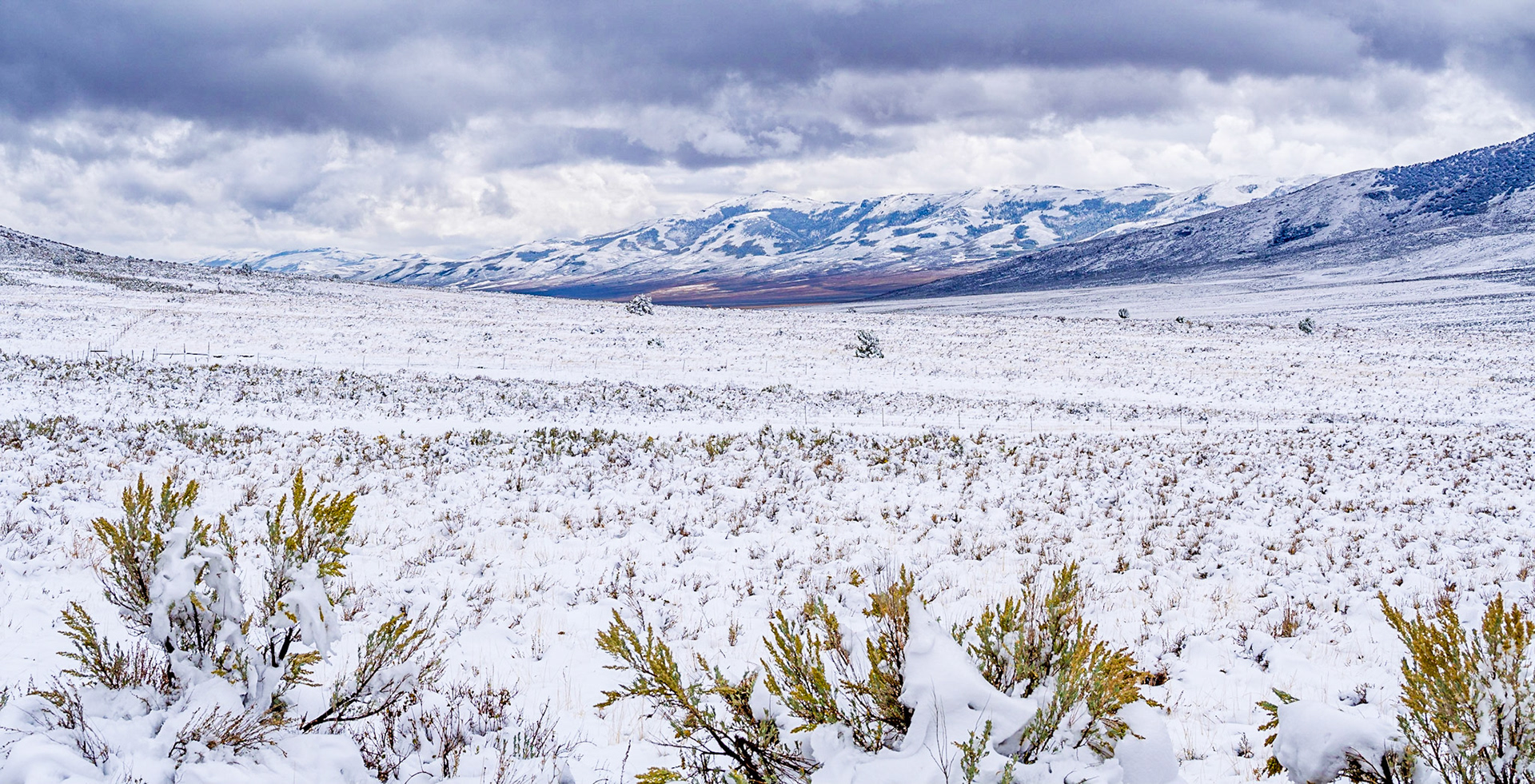 As we turned back into the park, it was clear this part of the park got much more snow than the first part we were in.