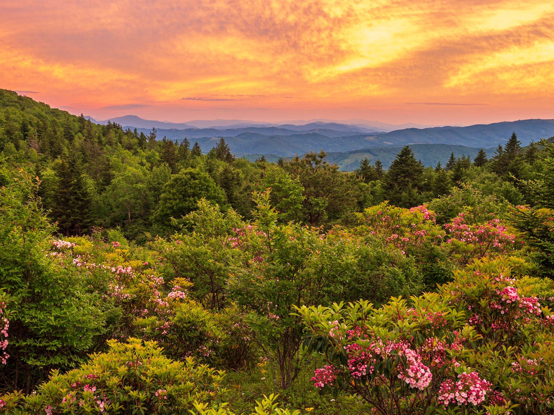 Grayson Highlands State Park, VA