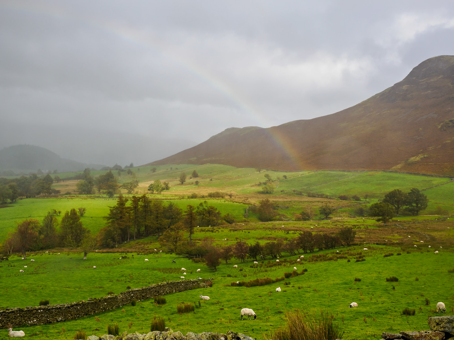 Cat Bells hike