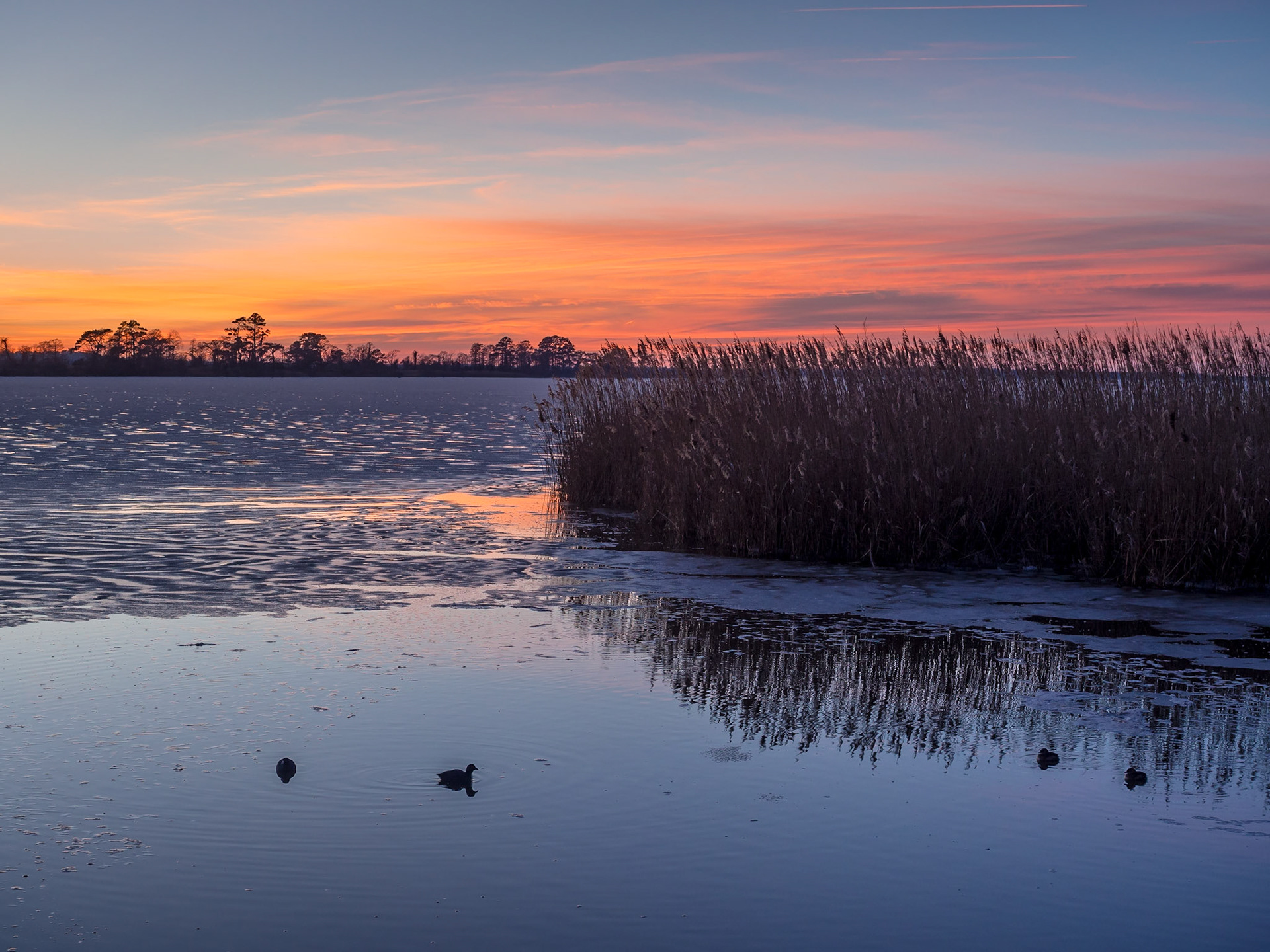 Lake Mattamuskeet, North Carolina