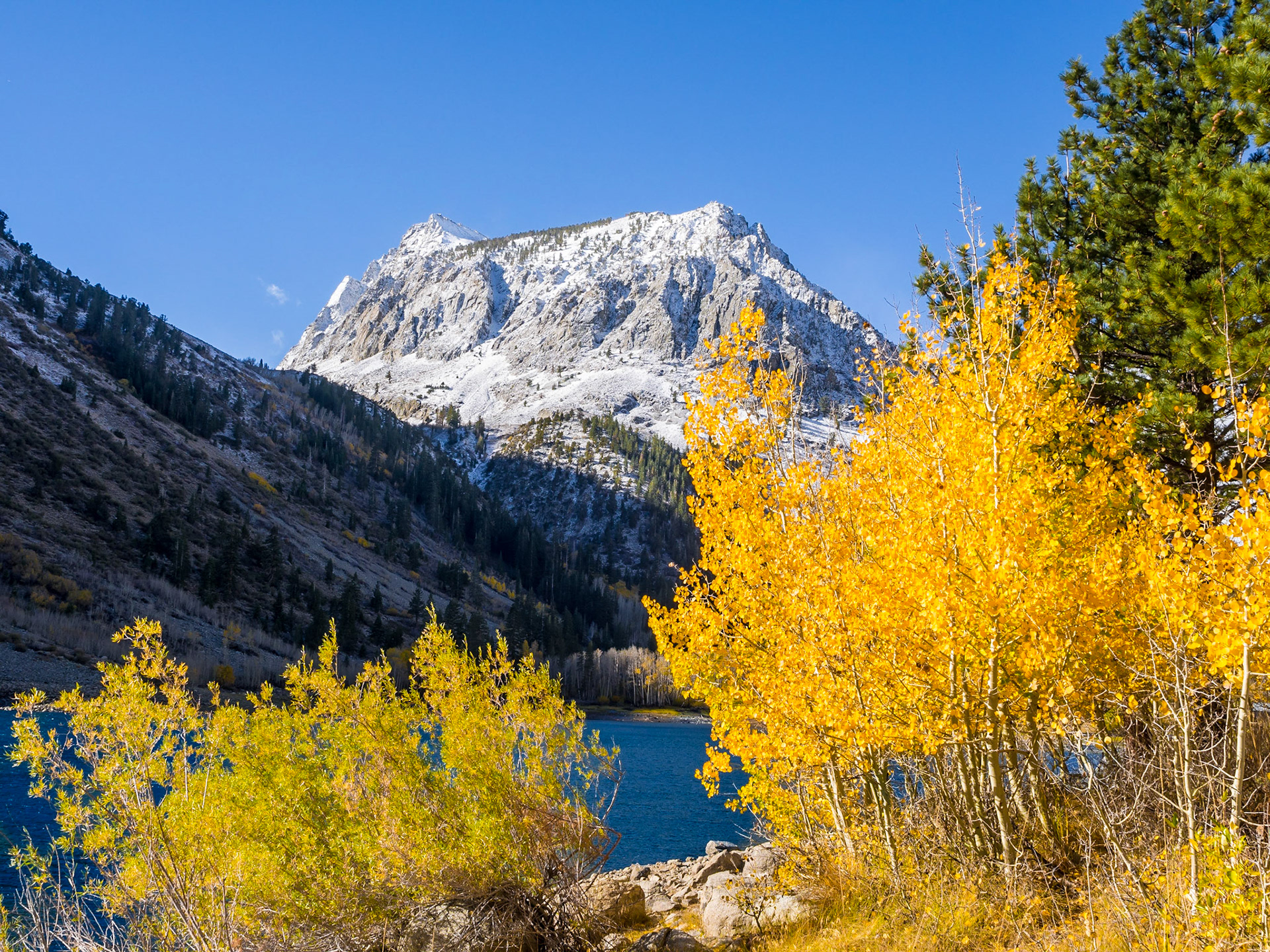 Snow in the Mountains and Color Around Lundy Lake