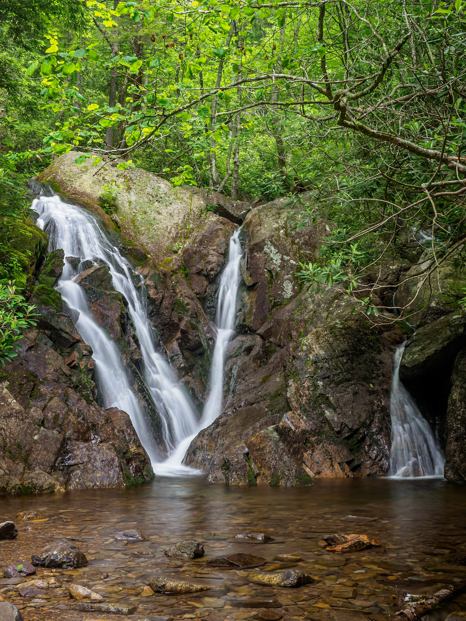 Grayson Highlands State Park, VA