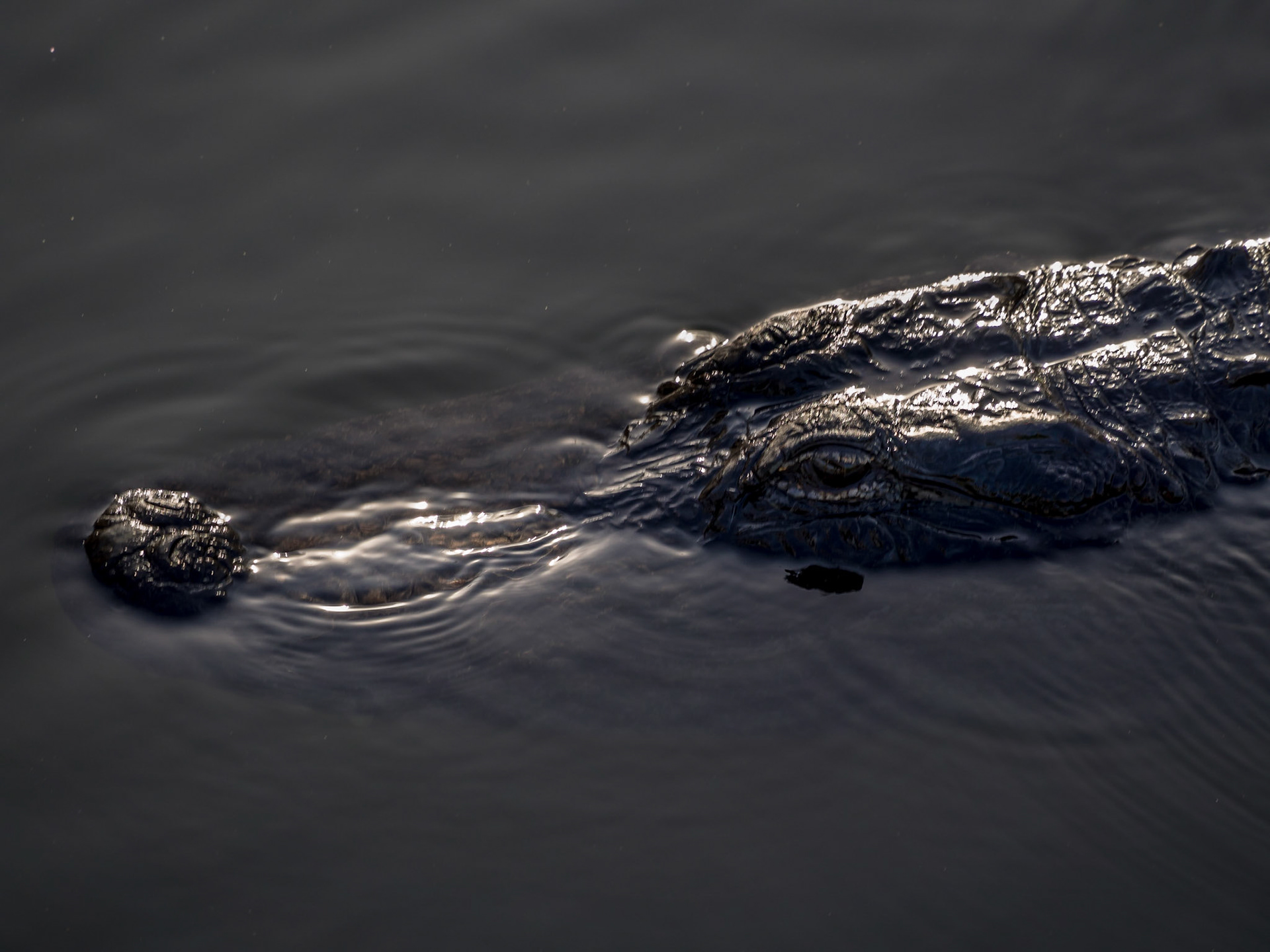 Everglades National Park