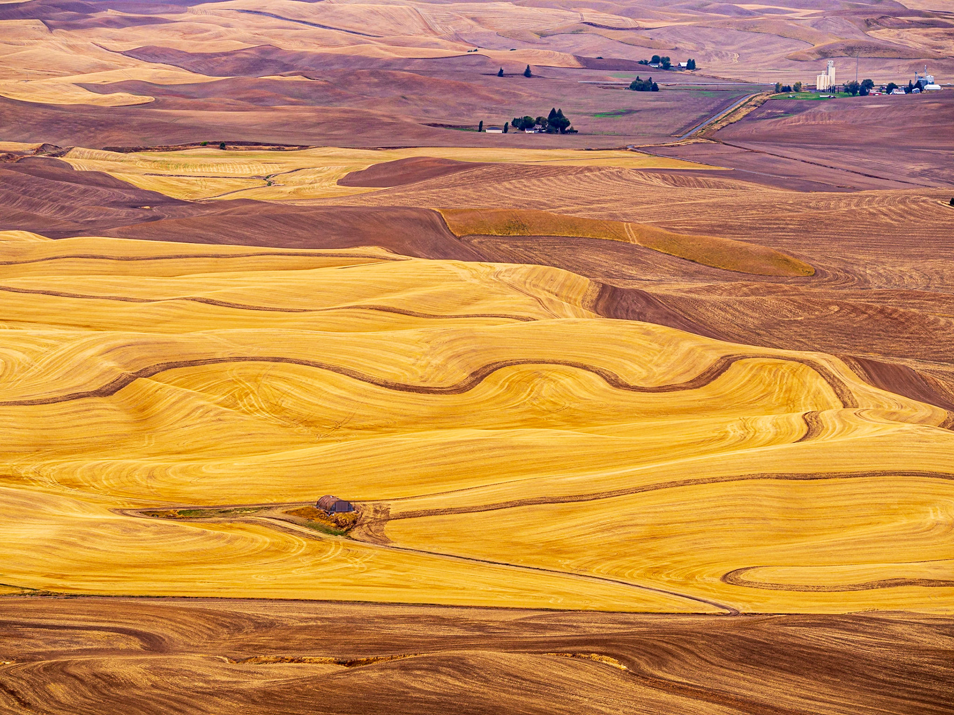 Colfax, Washington