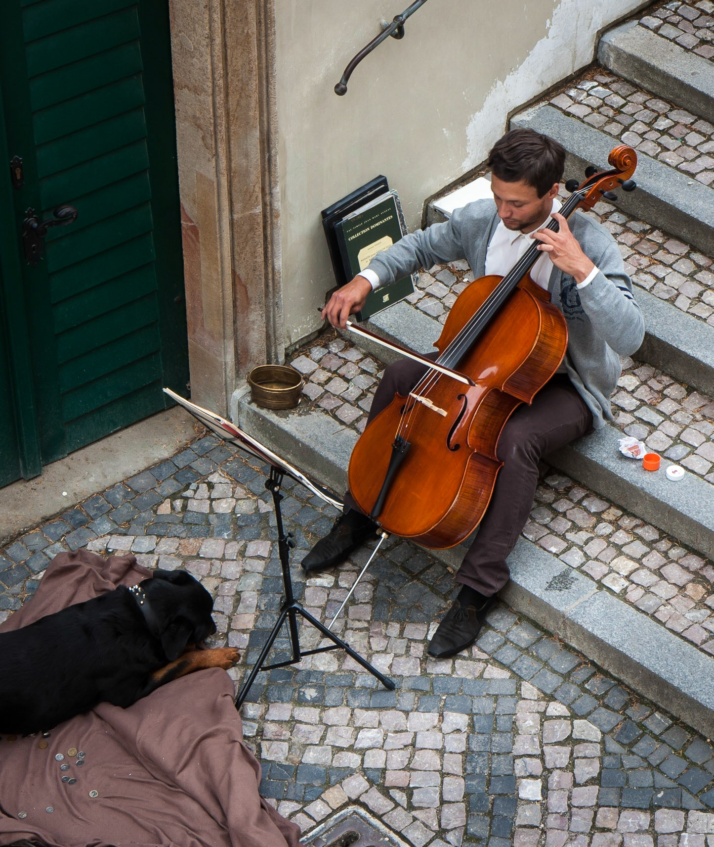 A cellist plays on steps in Prague, calming the big dog (or boring him)
