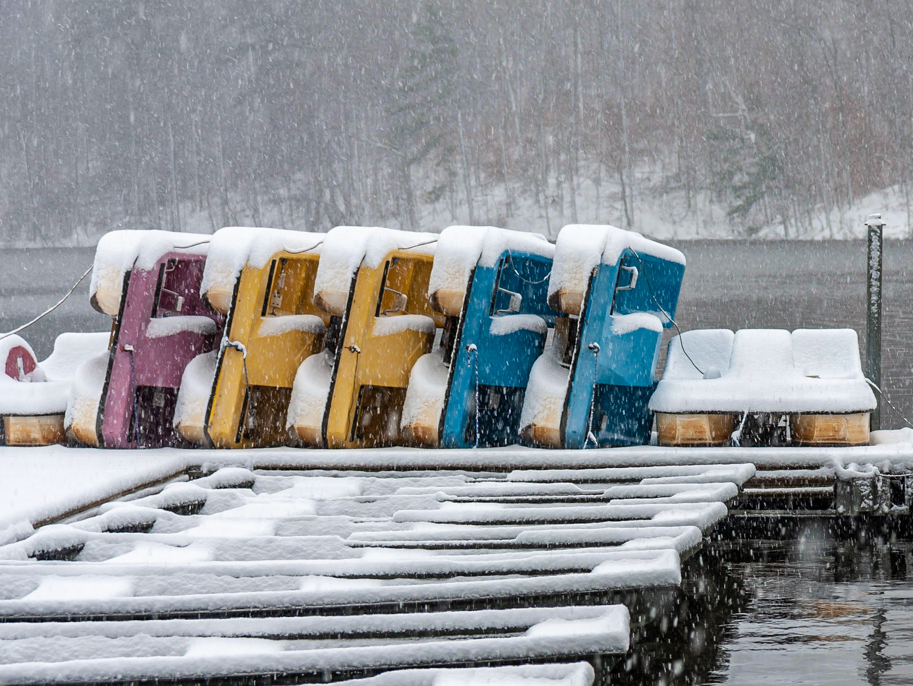 Raleigh, North Carolina