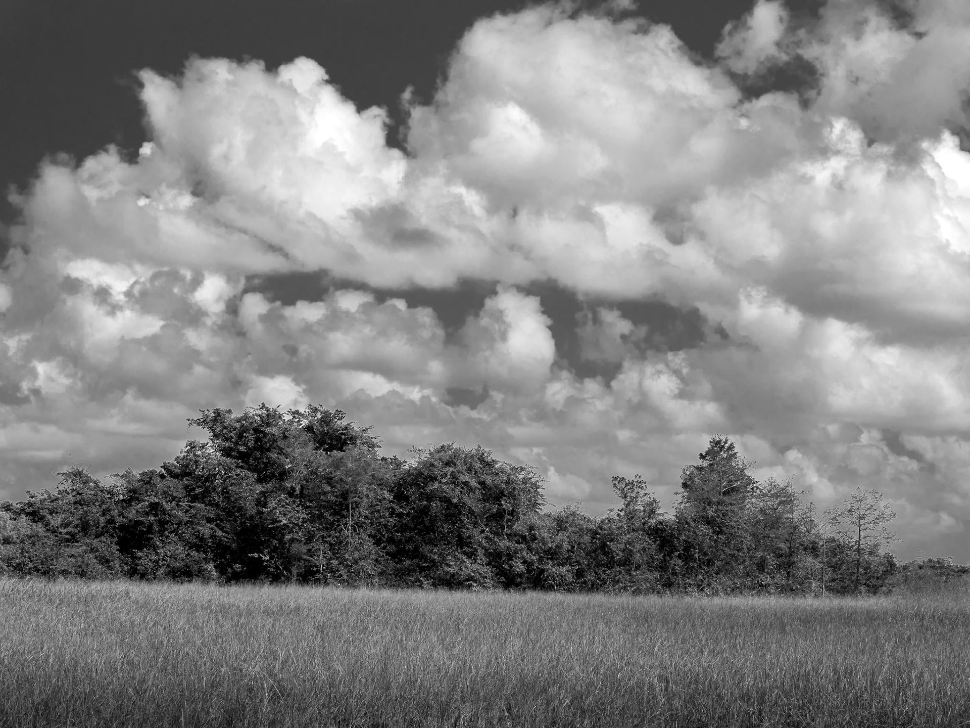 Clouds Over the Everglades