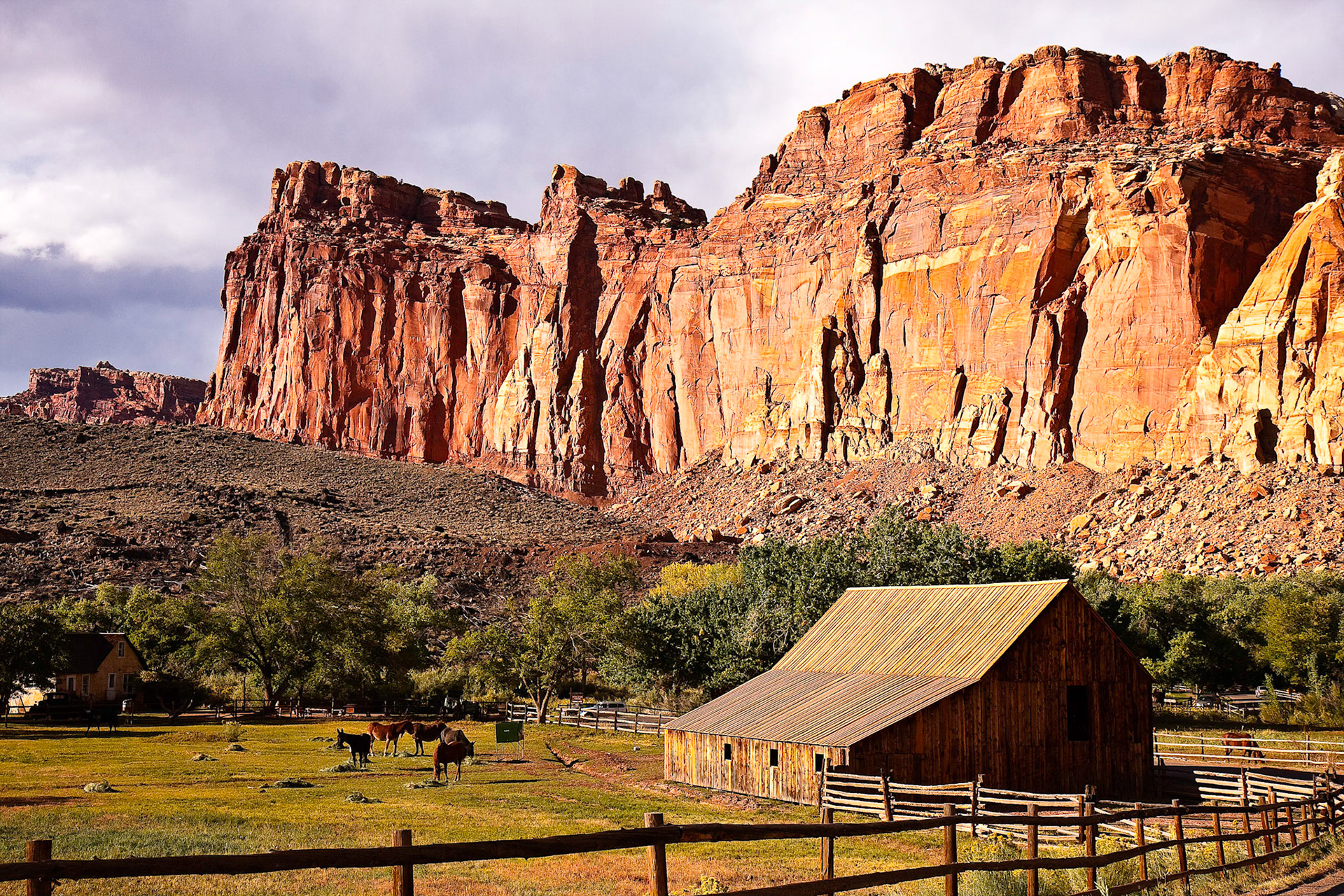 Capitol Reef National Park