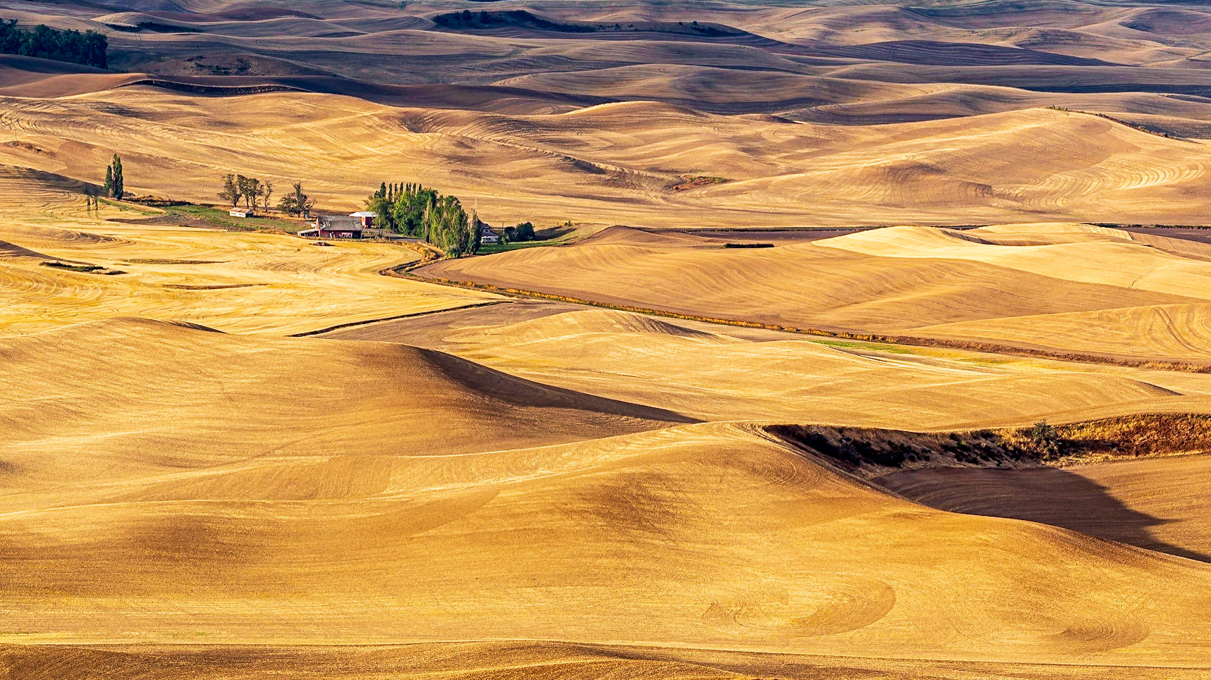 Patterns in the wheat fields of the Palouse