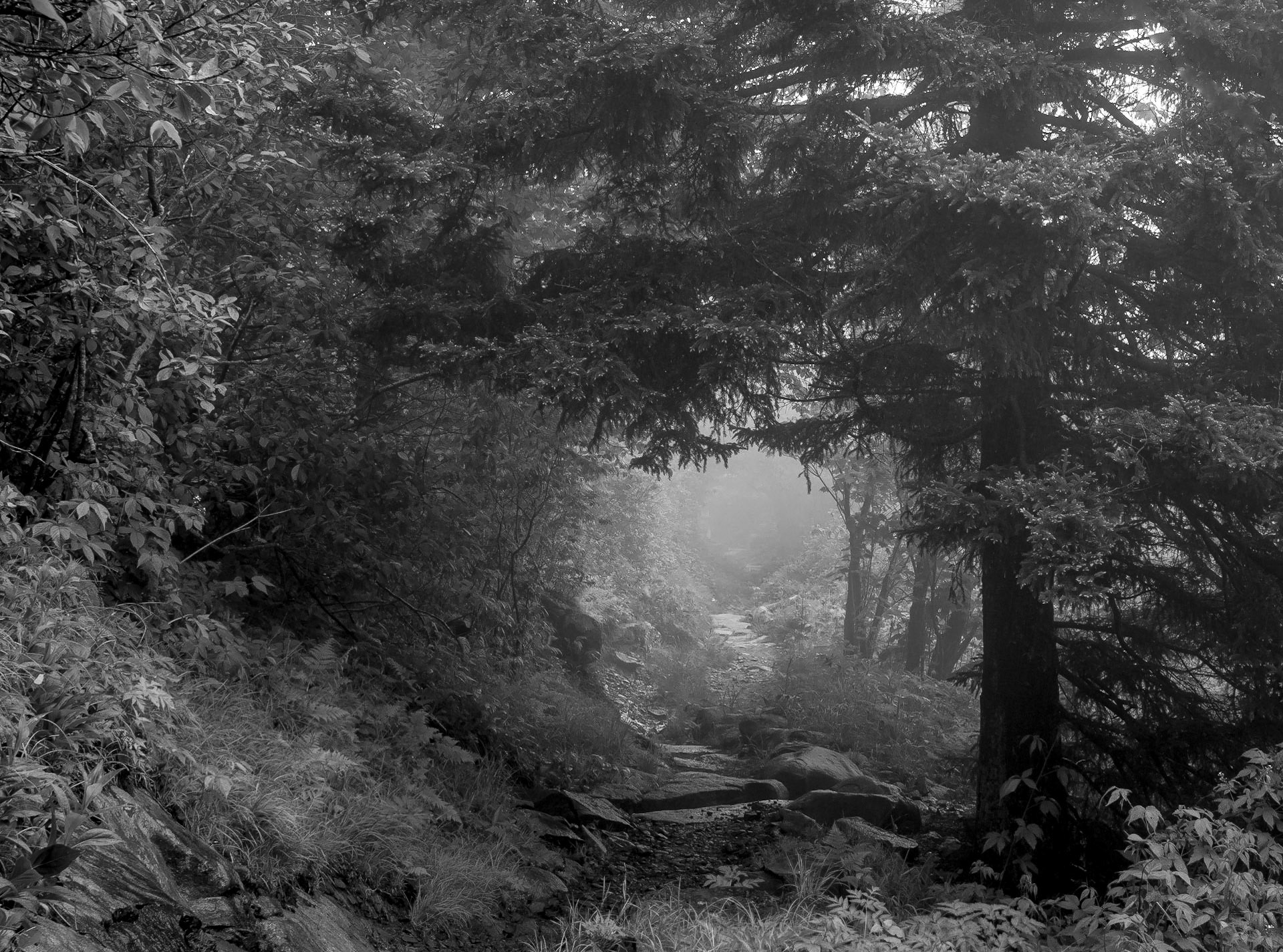 Great Smoky Mountains National Park, Tennessee