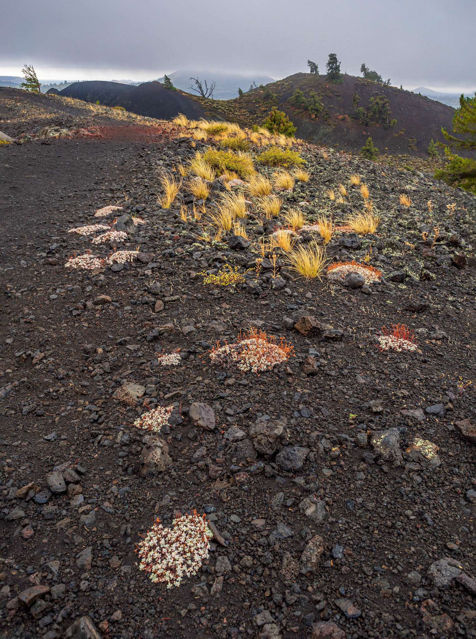 Craters of the Moon National Monument, Idaho