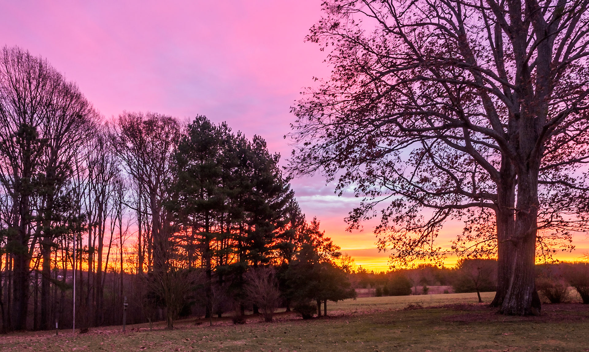 Chase City, VA
