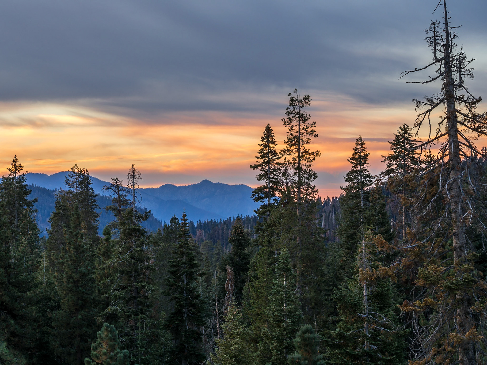 Sequoia National Park, California
