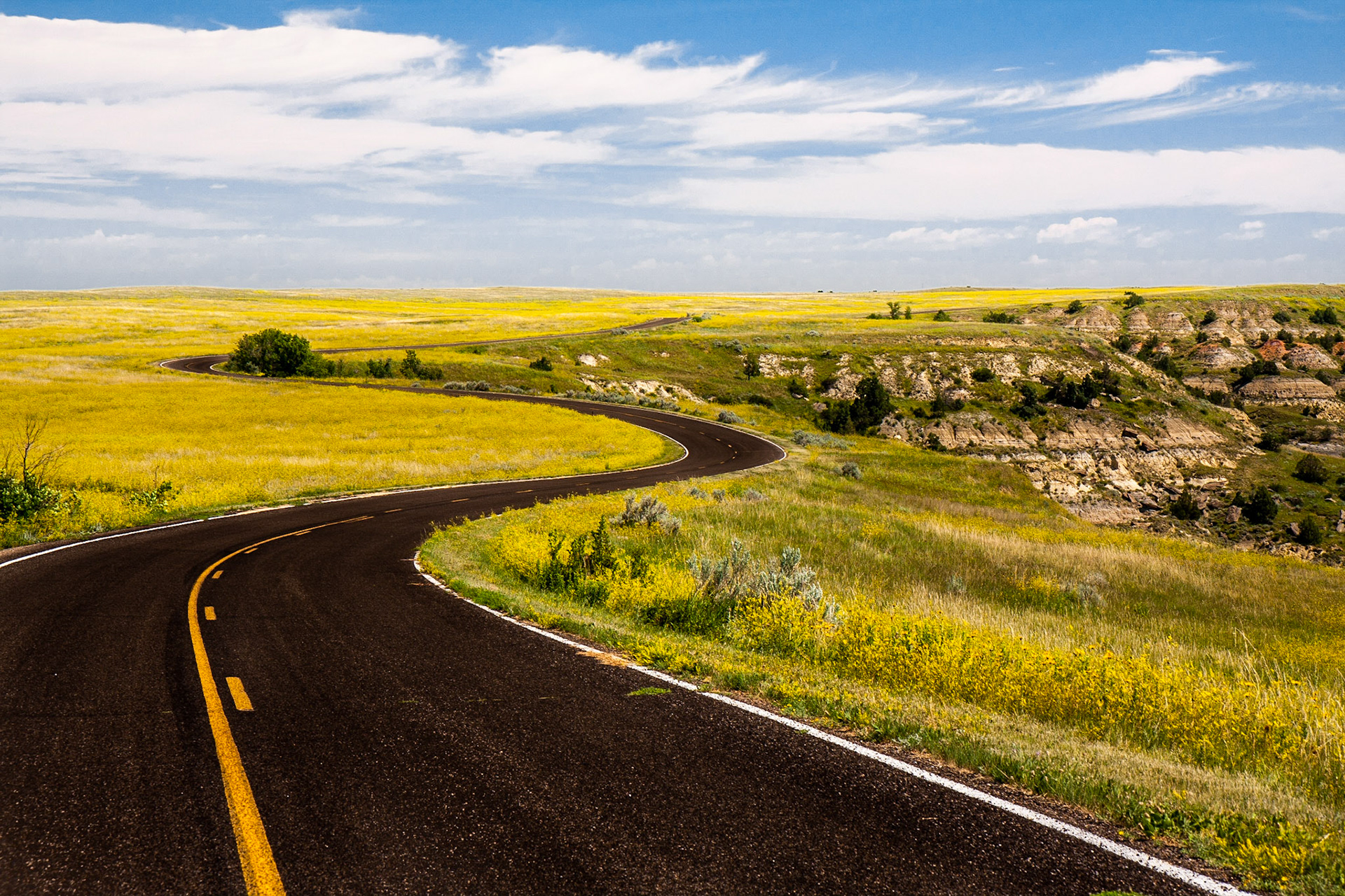 Theodore Roosevelt National Park