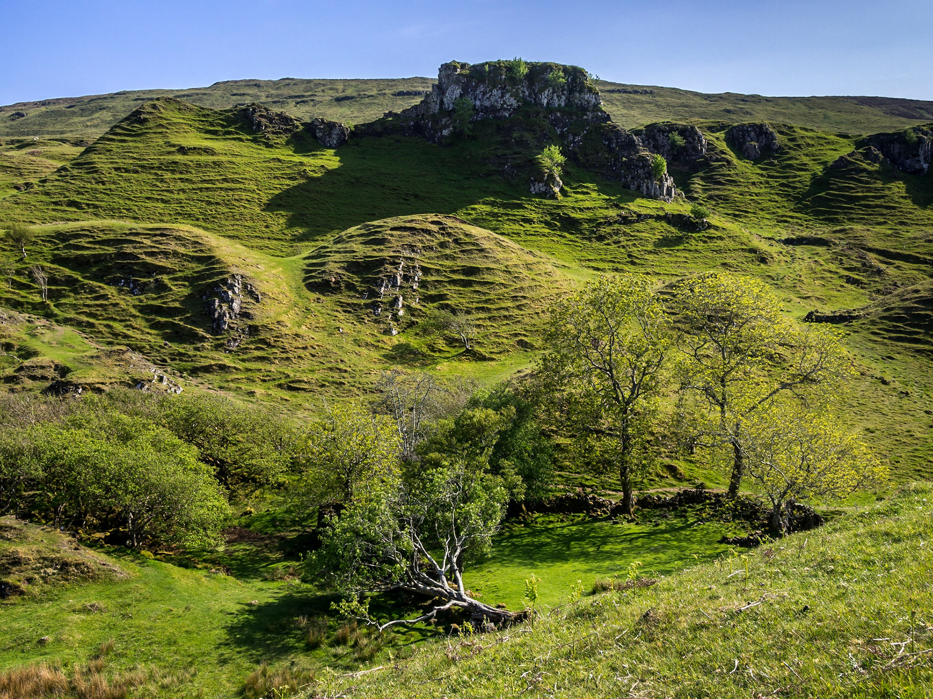 The Fairy Glen