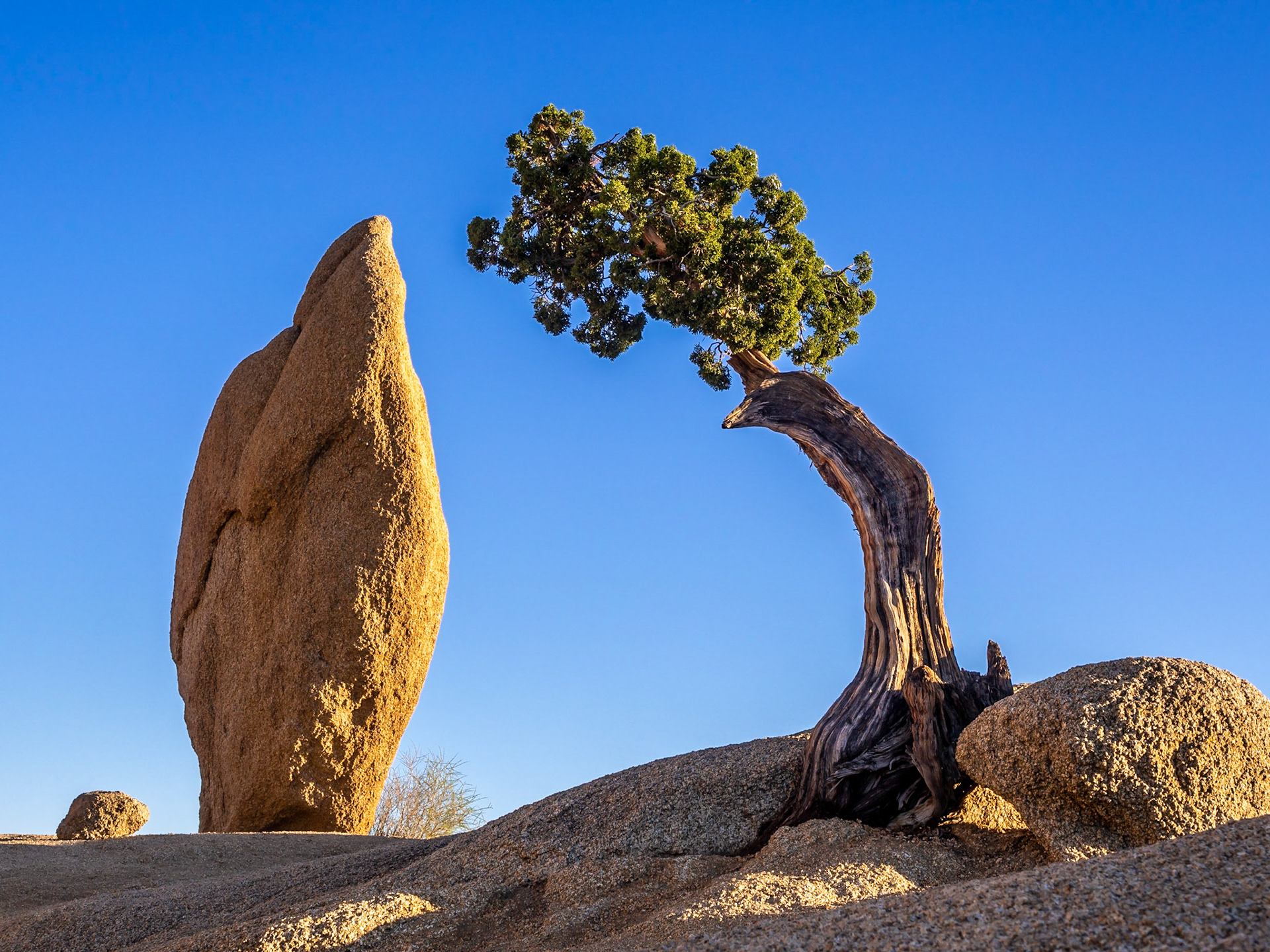 Joshua Tree National Park, California