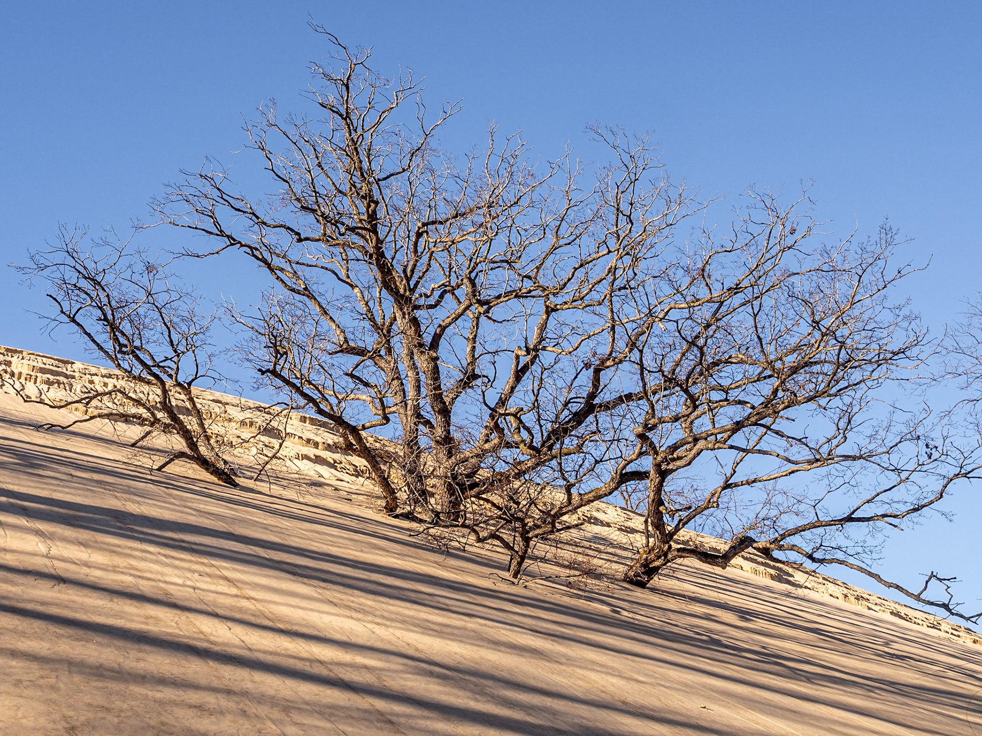 Indiana Sand Dunes National Park