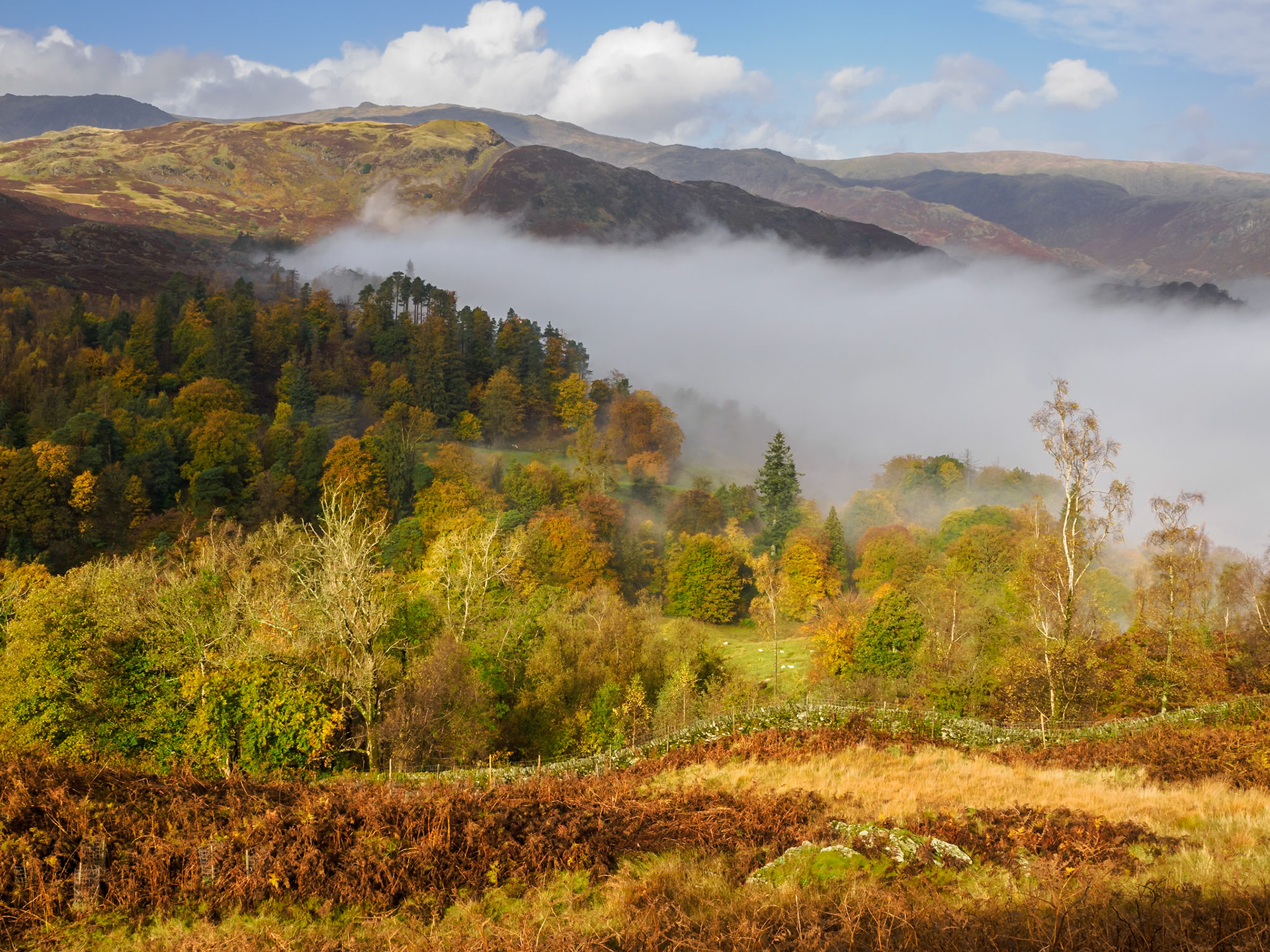 Loughrigg Fell