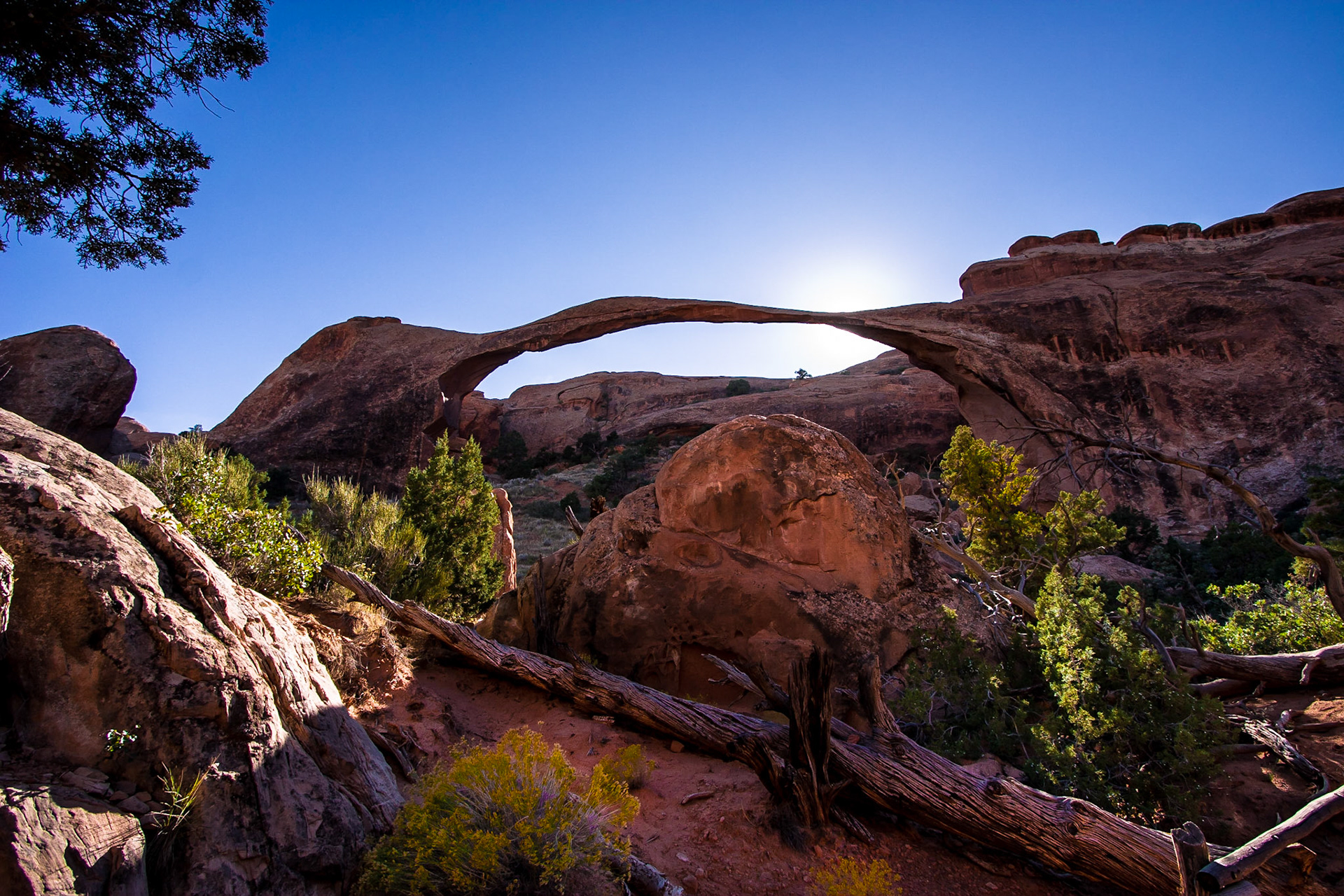 Arches National Park