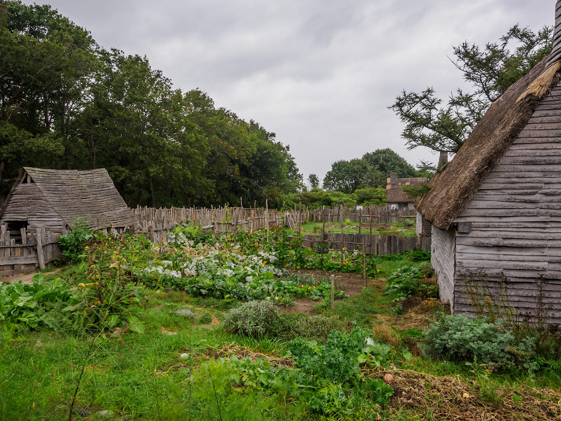 Vegetable gardens in the Pilgrim village.