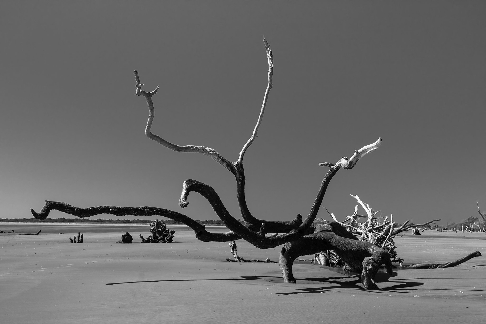 Capers Island, South Carolina