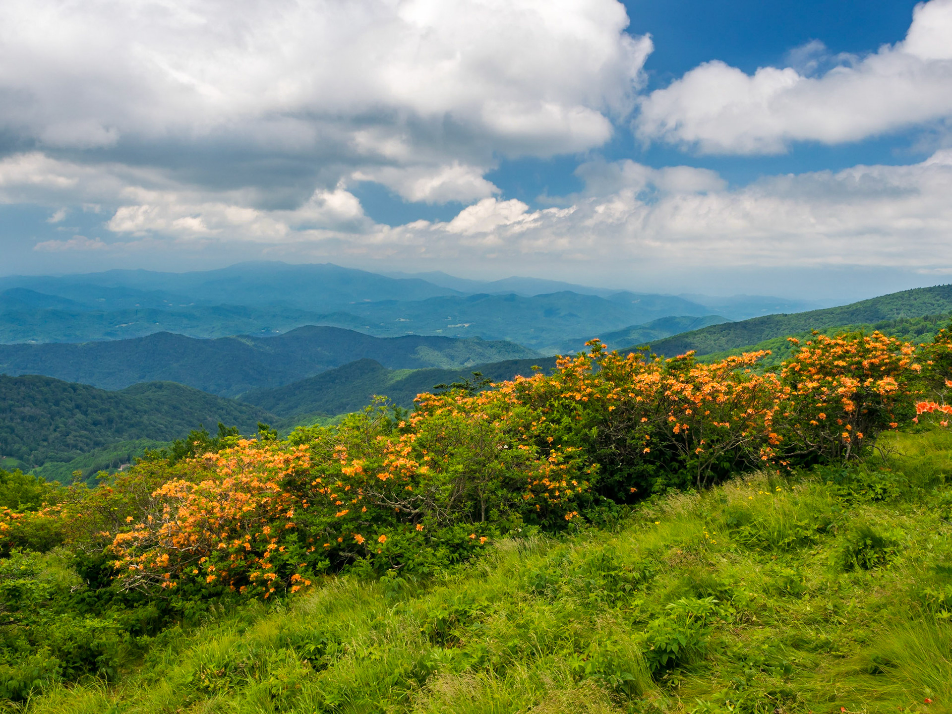 Appalachian Trail, Tennessee