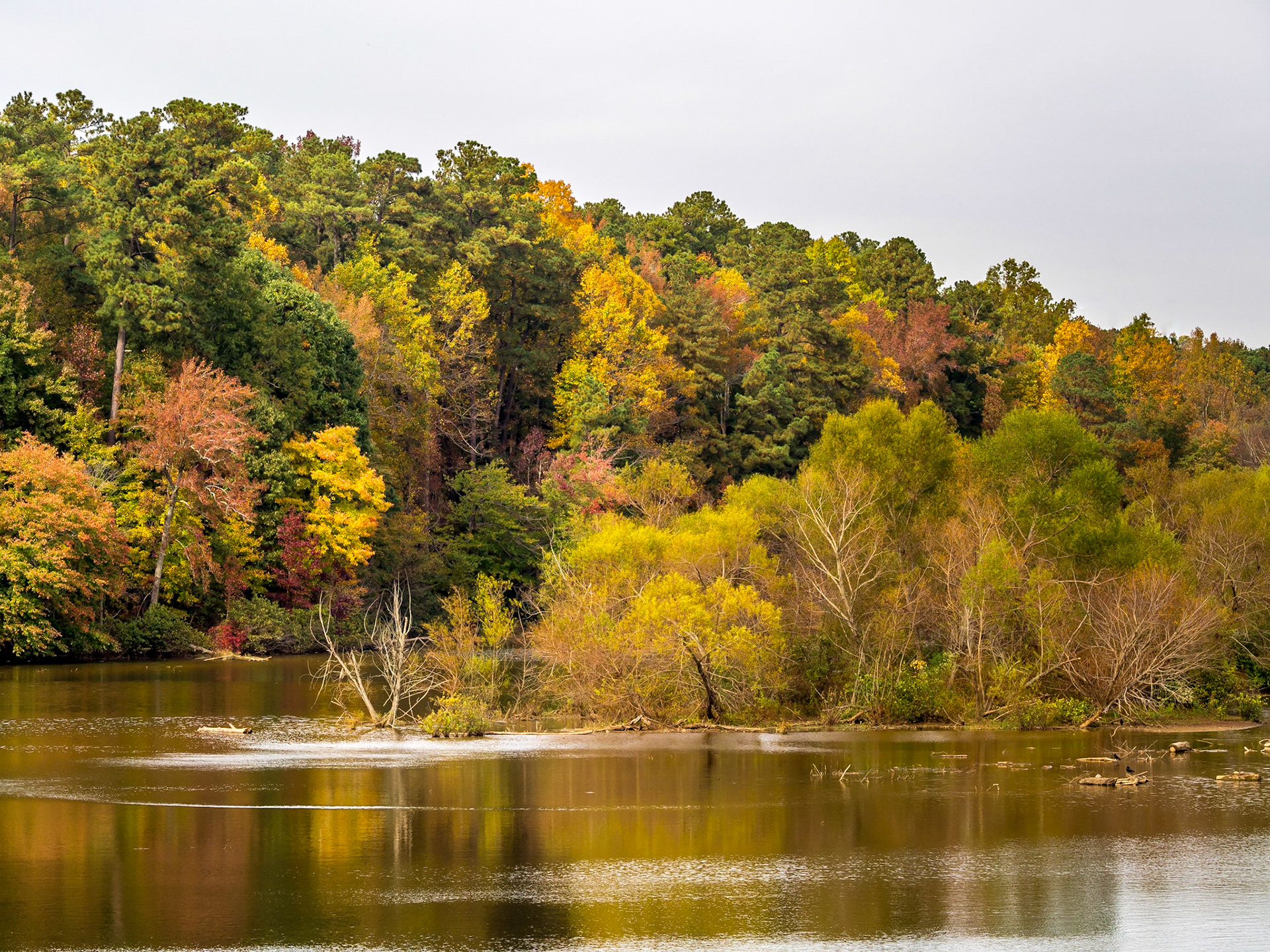 Near the End (of the Lake)