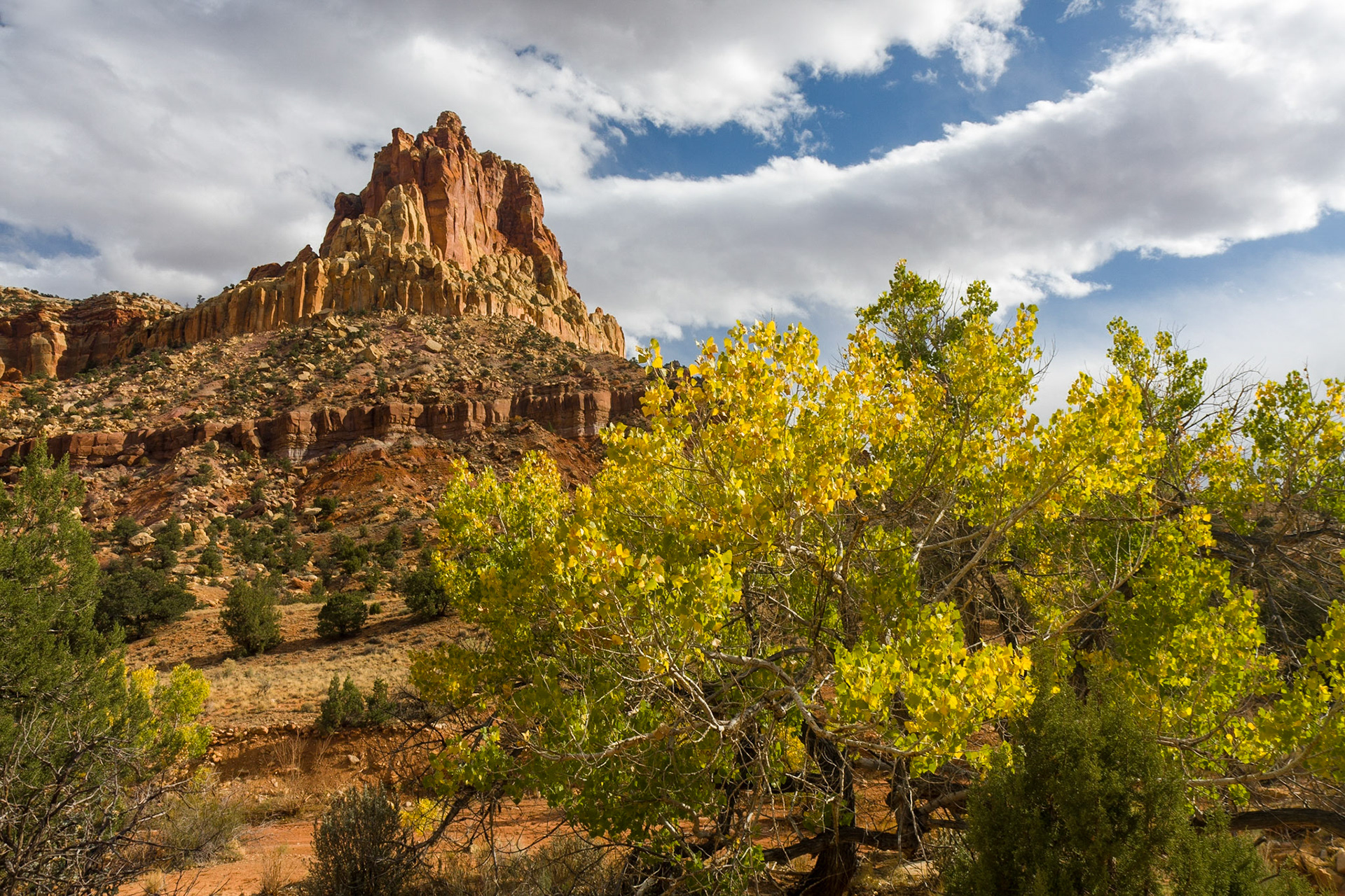 Capitol Reef National Park