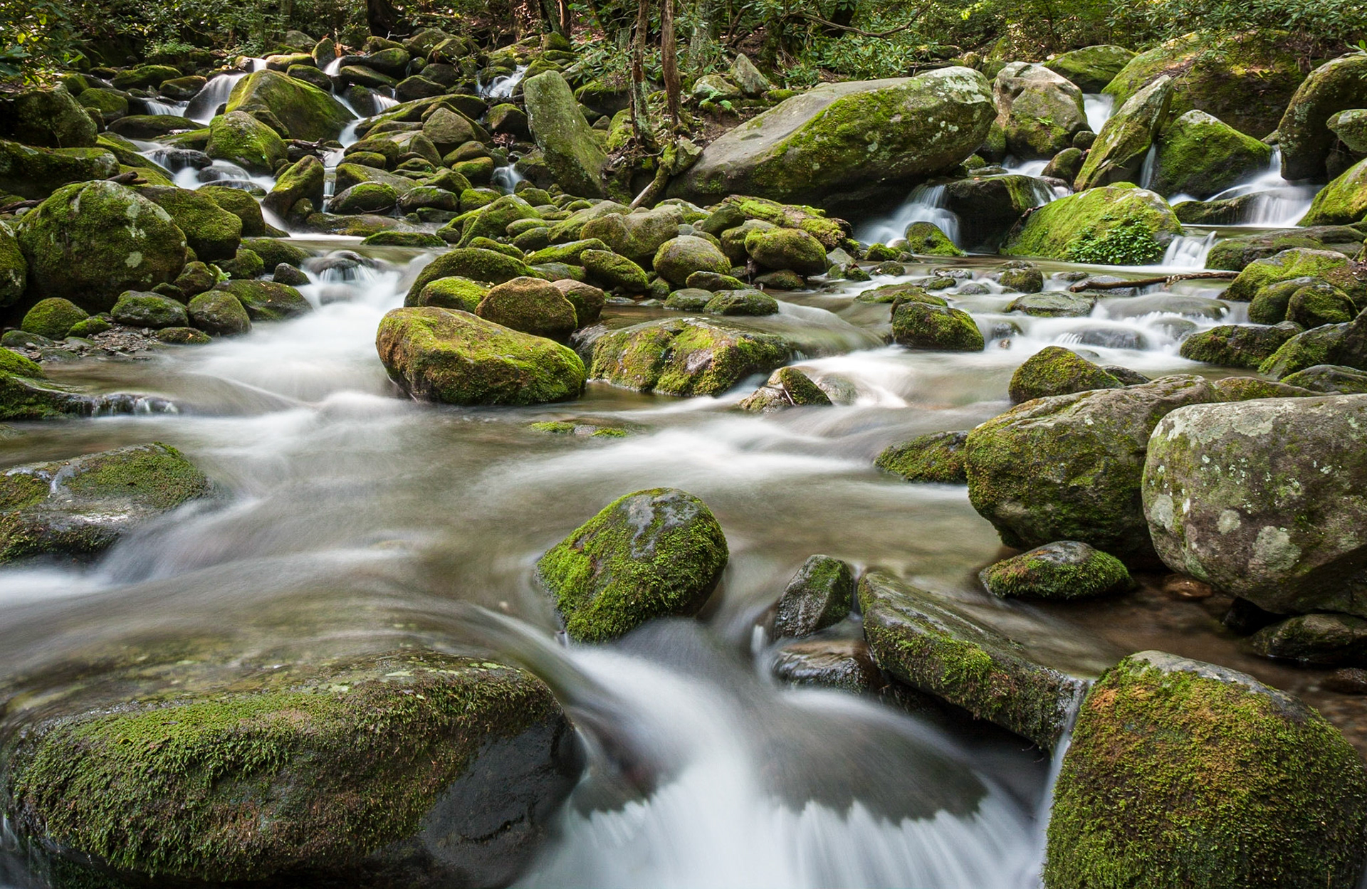 Great Smoky Mountains National Park, Tennessee