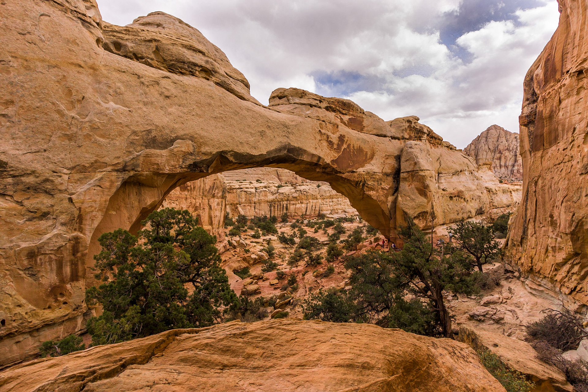Capitol Reef National Park
