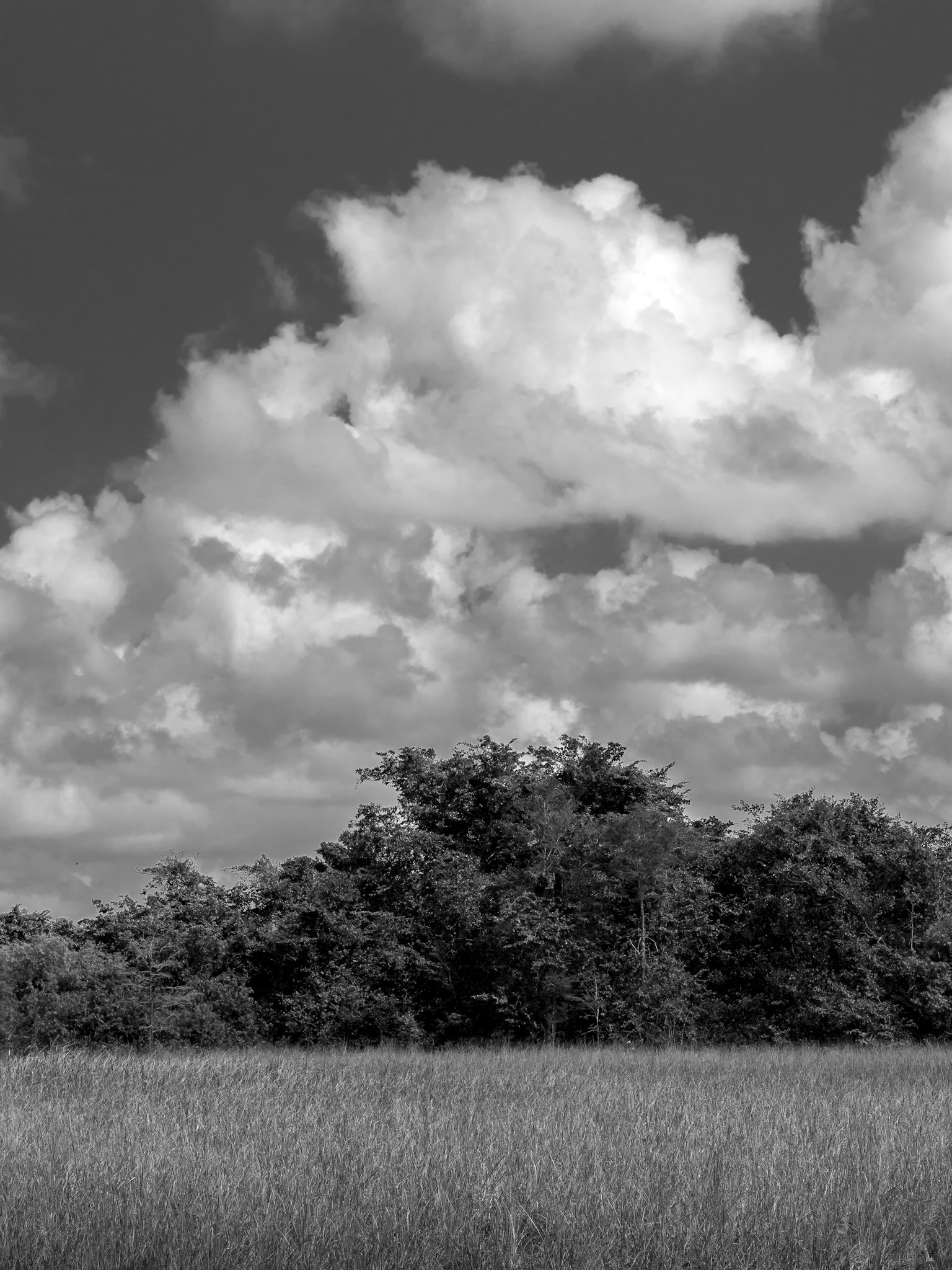 Clouds Over the Everglades