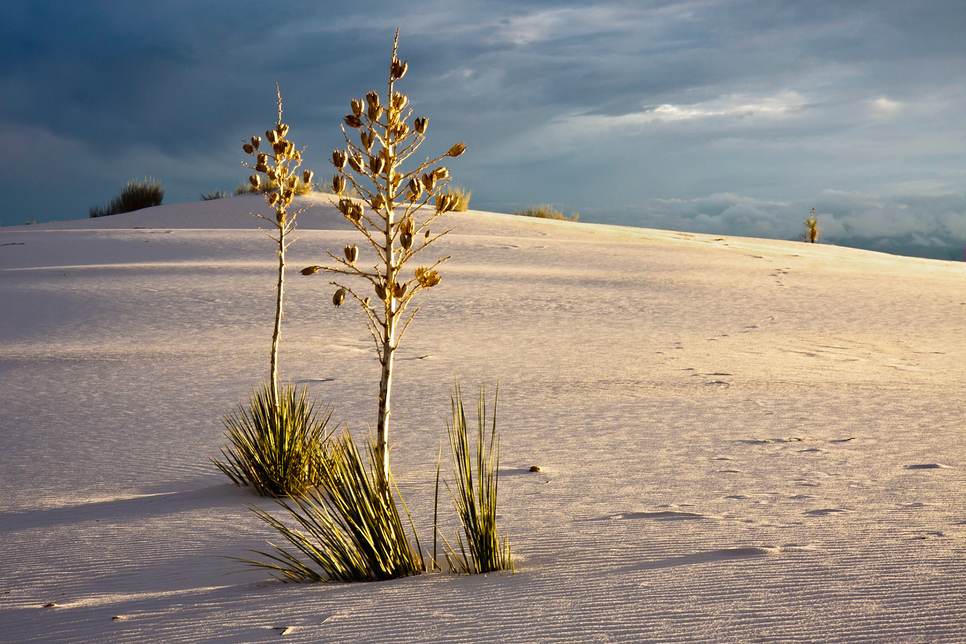 White Sands National Monument, New Mexico