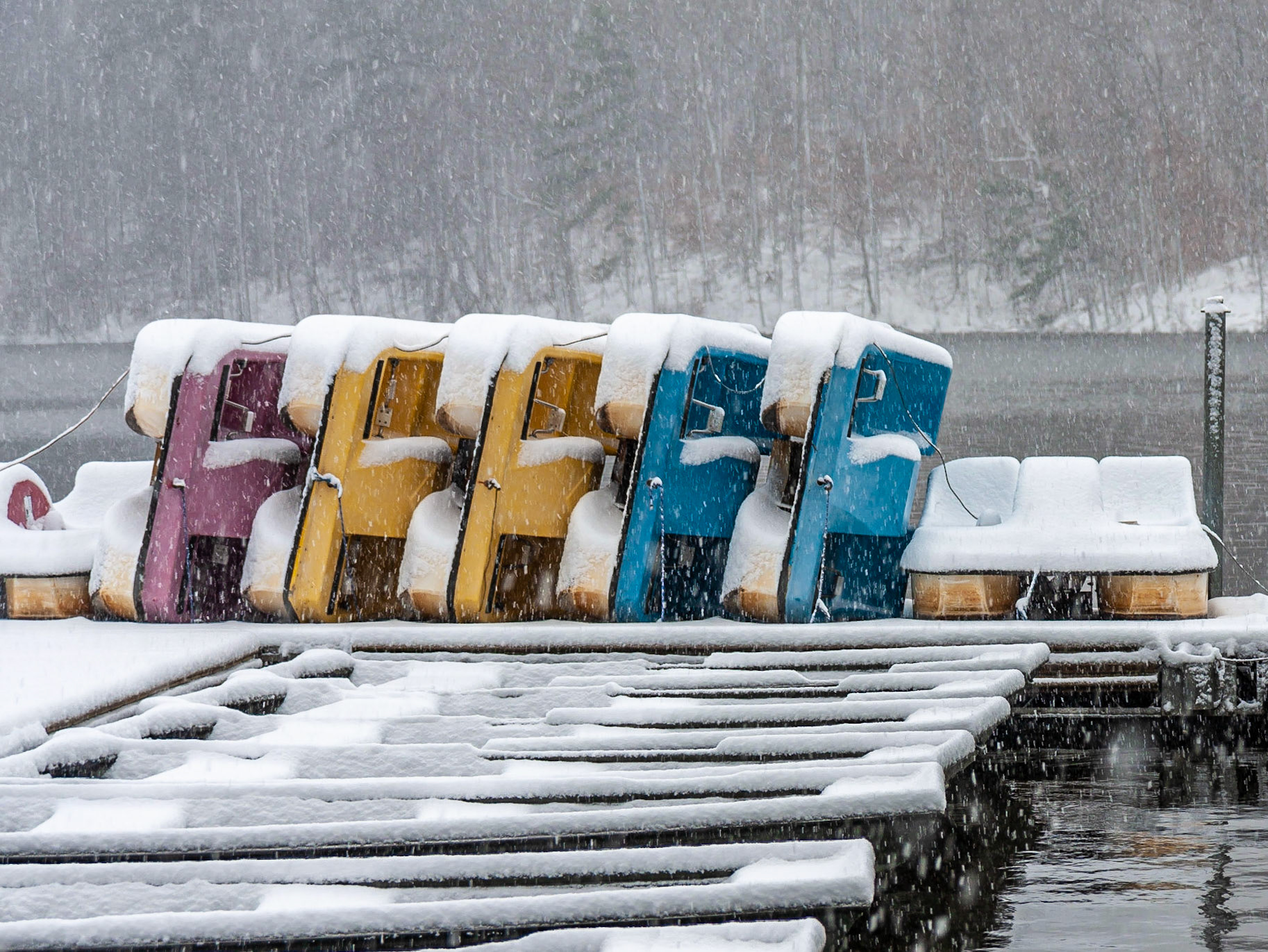 Raleigh, North Carolina