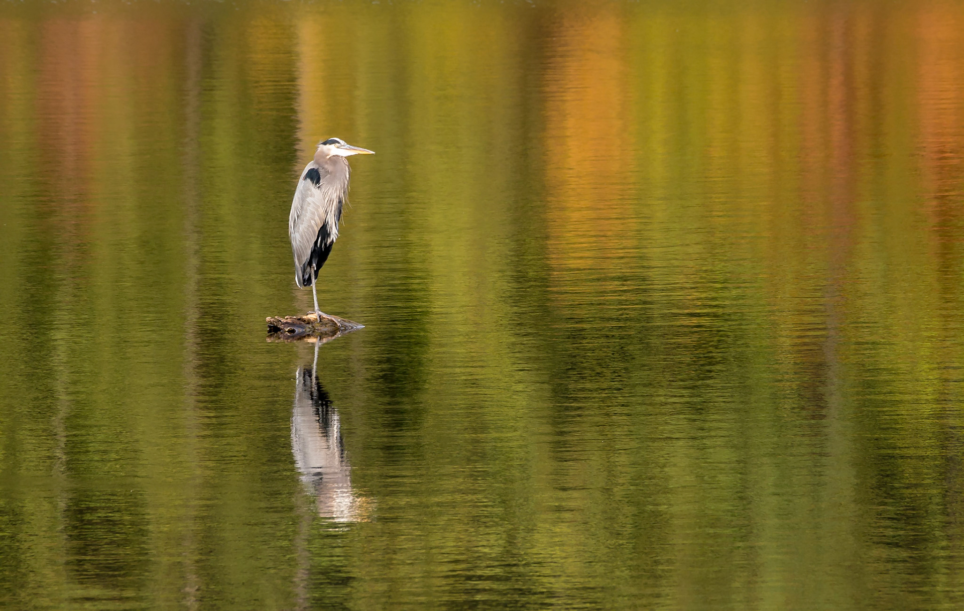 Raleigh, North Carolina