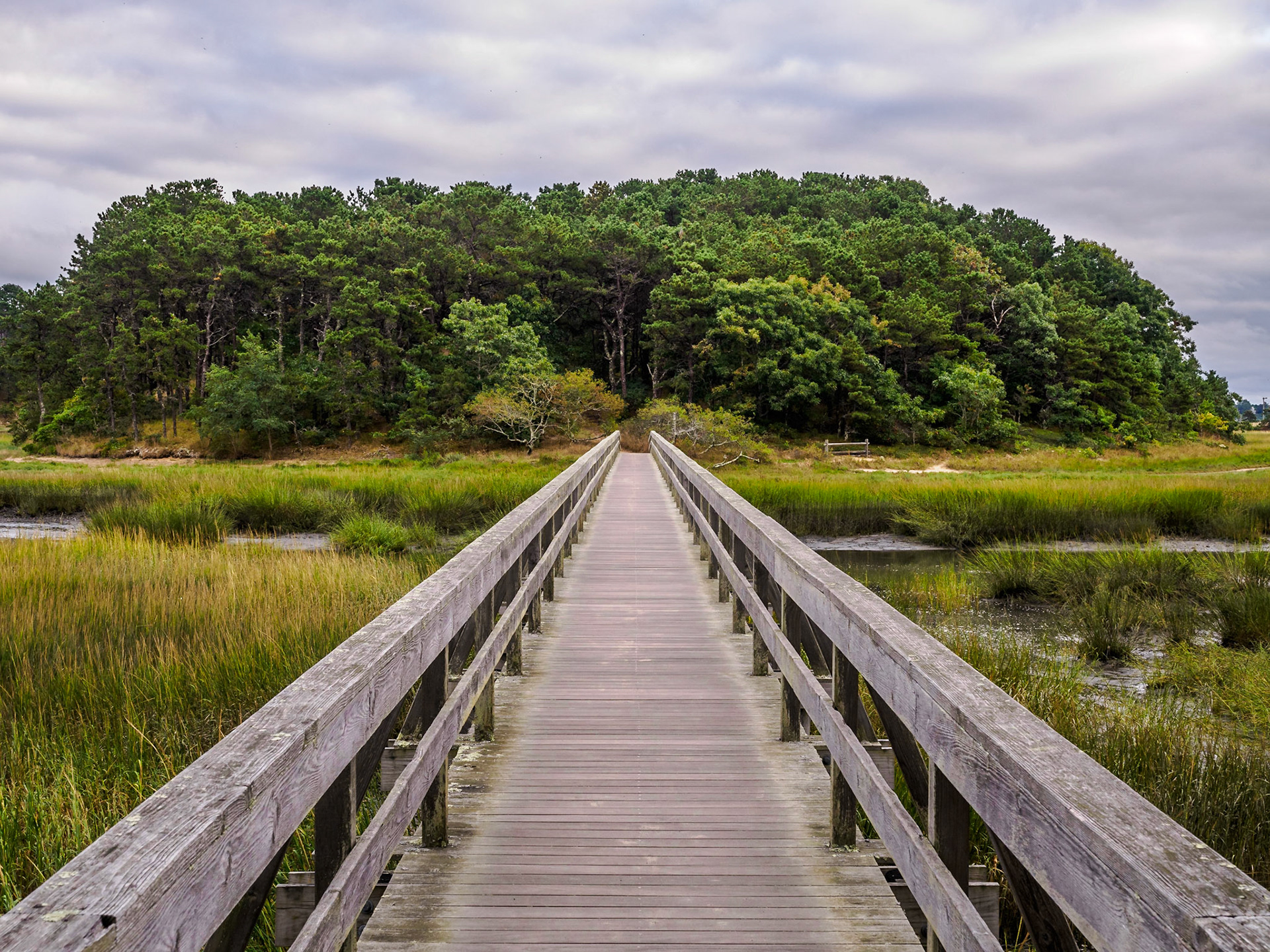 We walked across Uncle Tim's Bridge in Wellfleet and enjoyed the trail around the little island there.