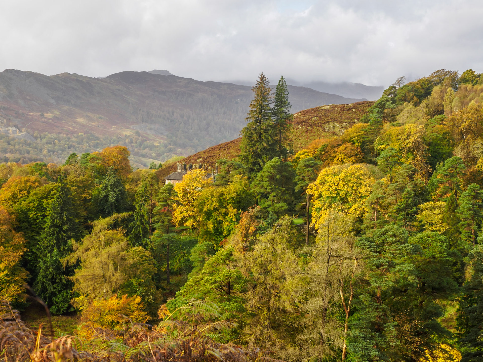 Loughrigg Fell