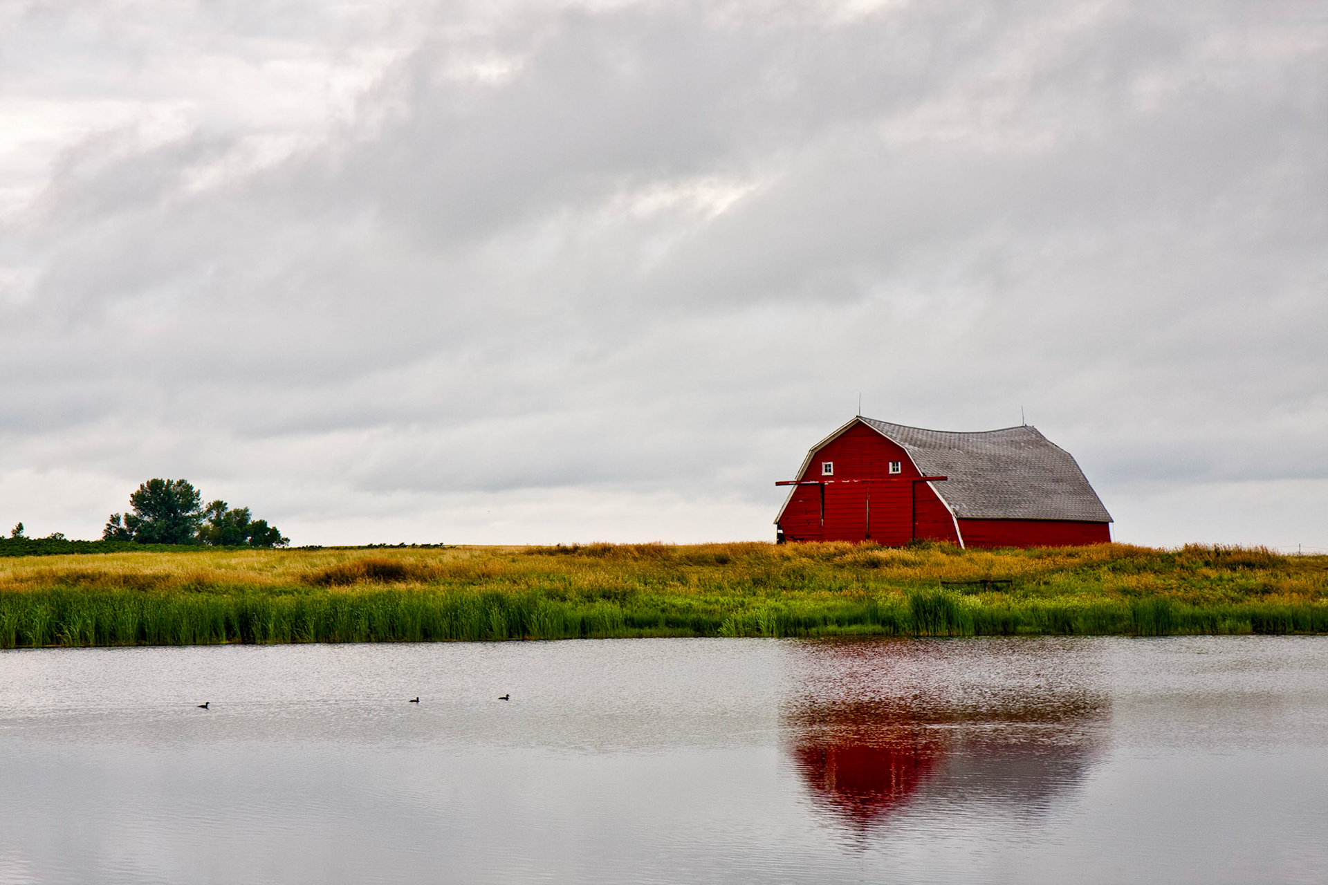 Audubon National Wildlife Refuge, North Dakota