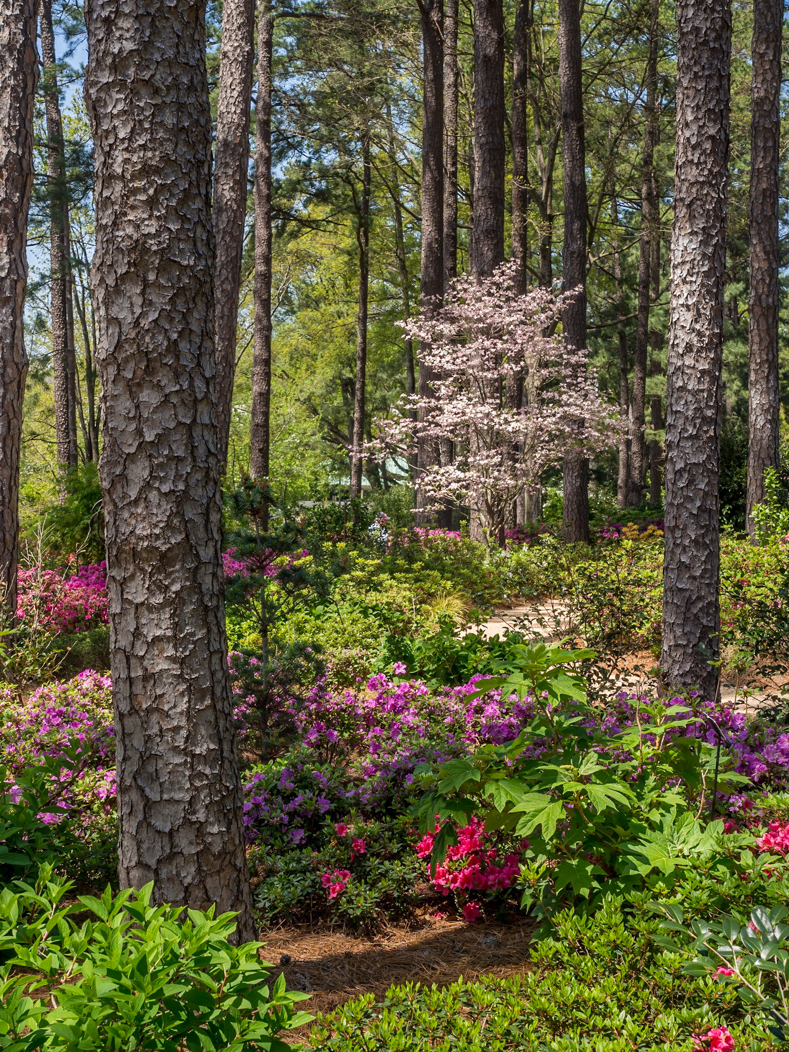 WRAL Gardens, Raleigh, North Carolina