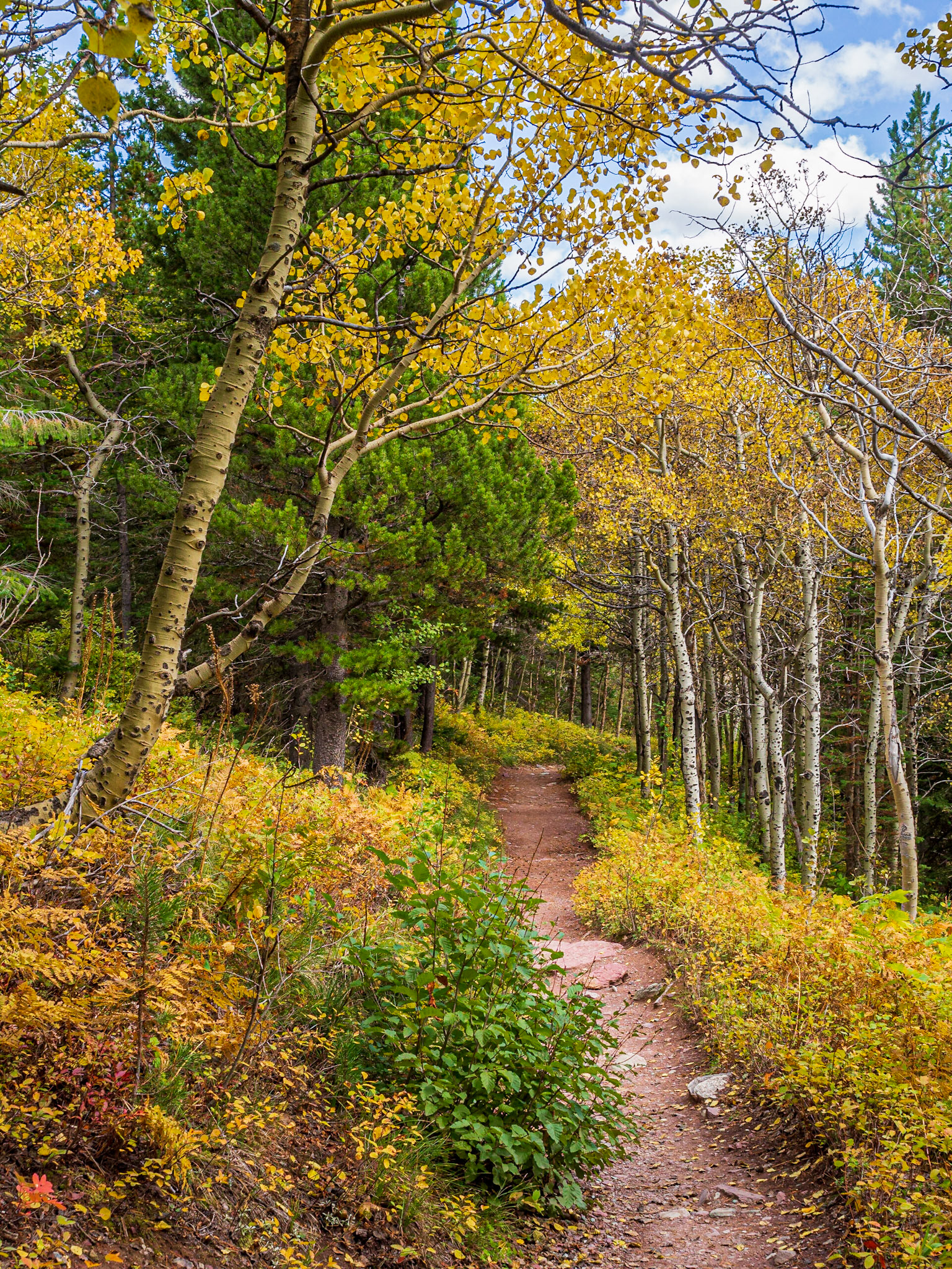 Glacier National Park, Montana