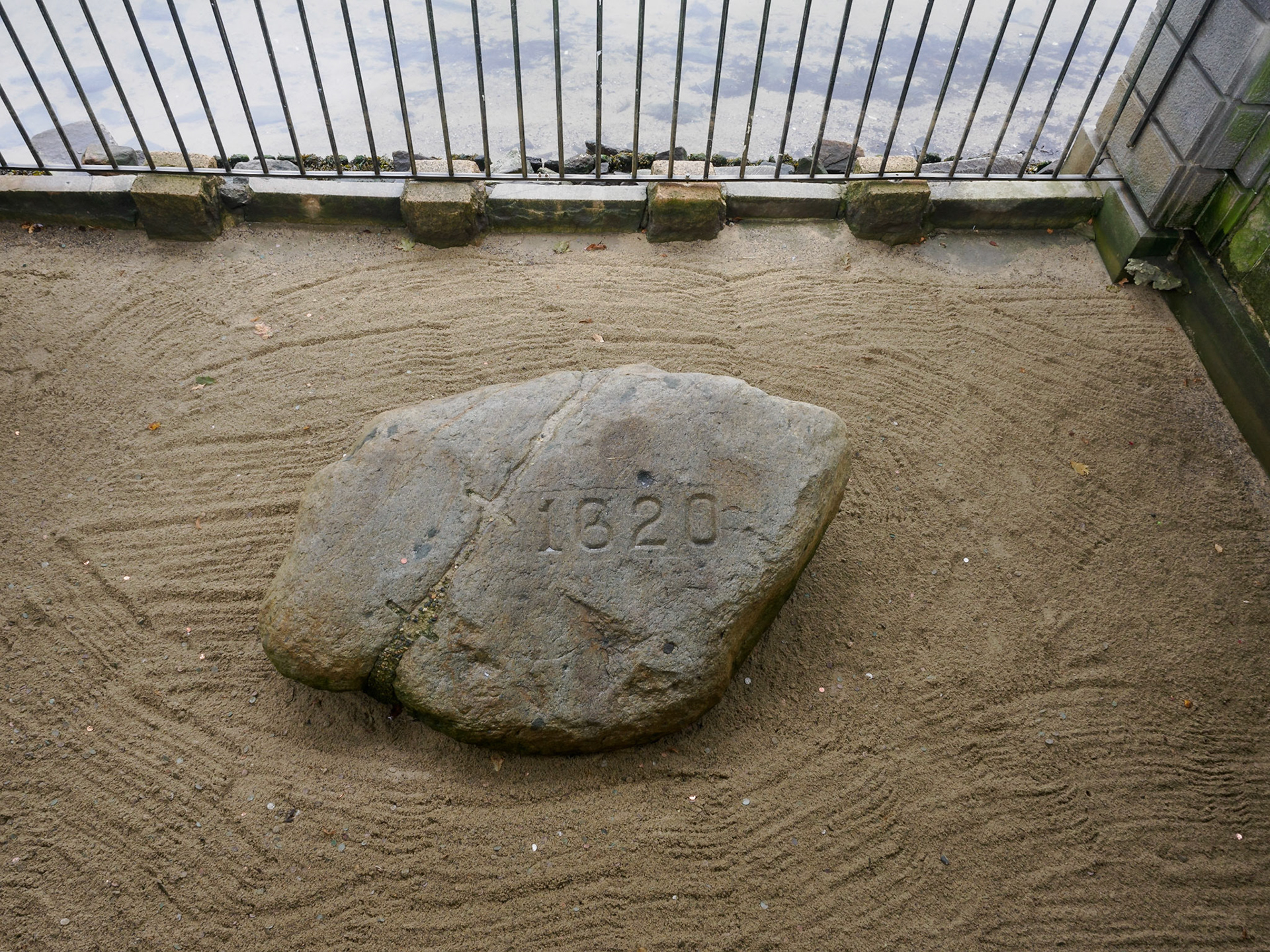 Plymoth Rock