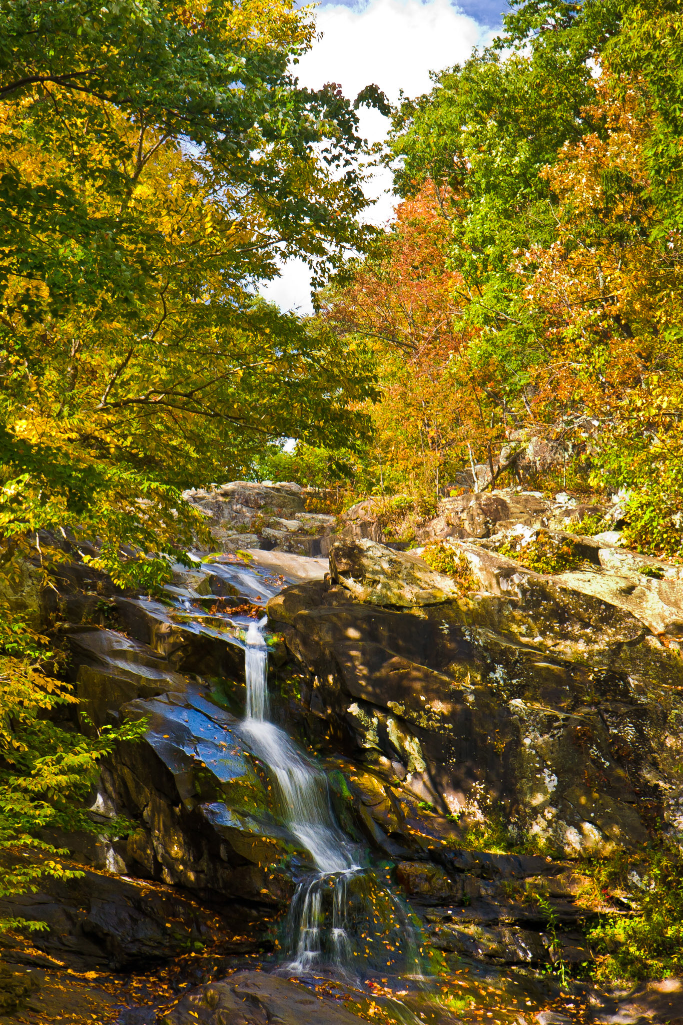Shenandoah National Park