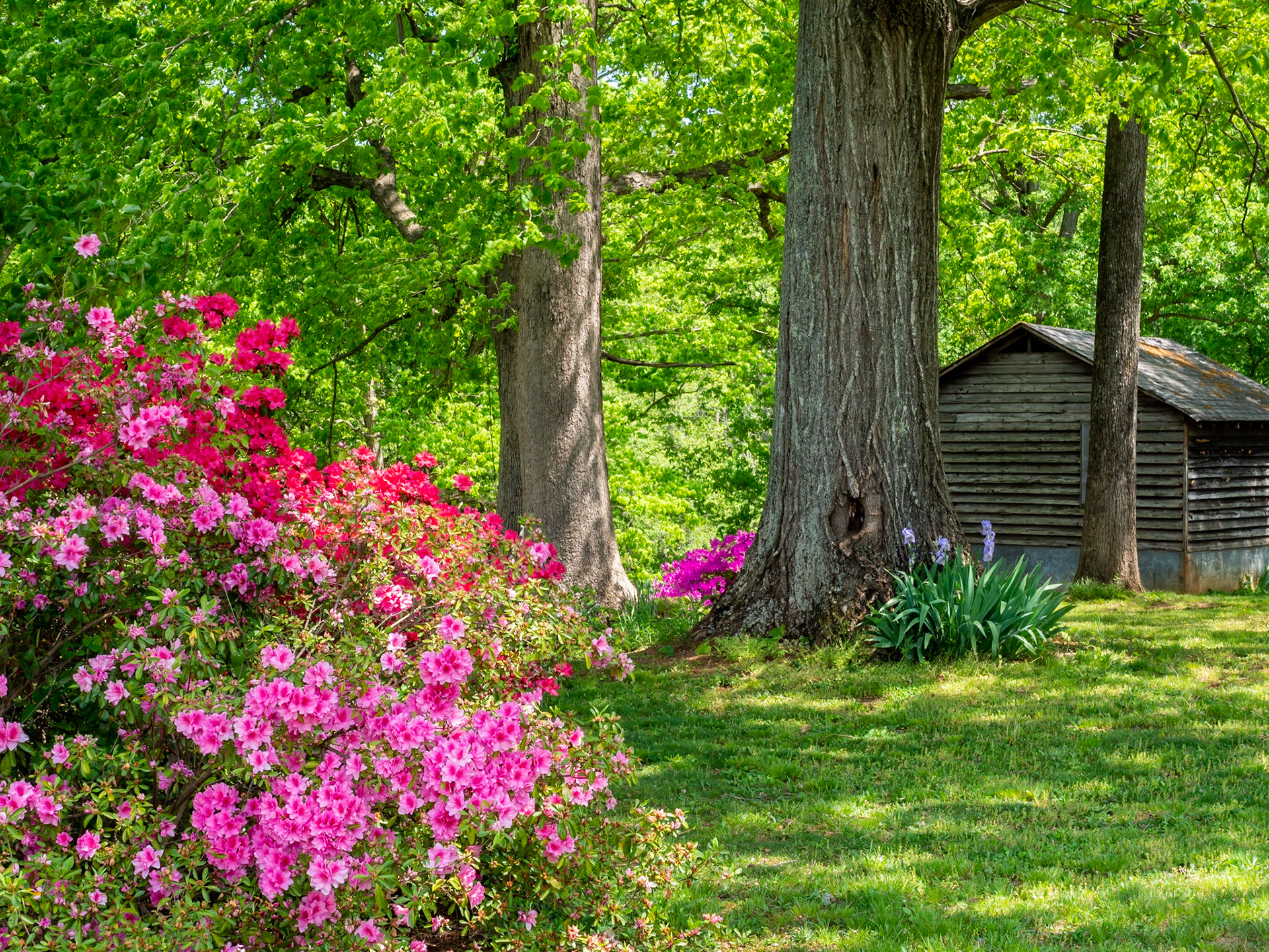 Chase City, Virginia