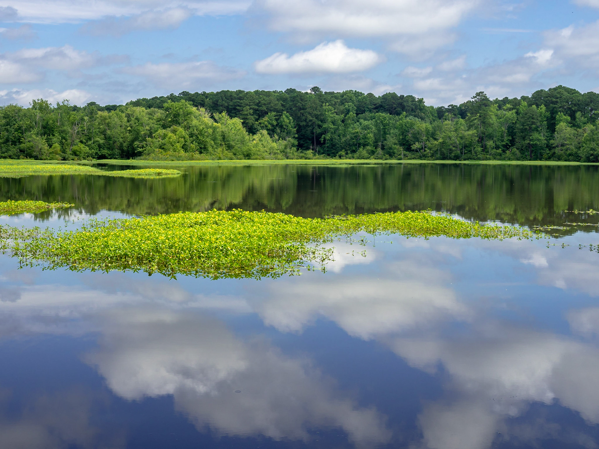 Lake Raleigh, Raleigh, NC