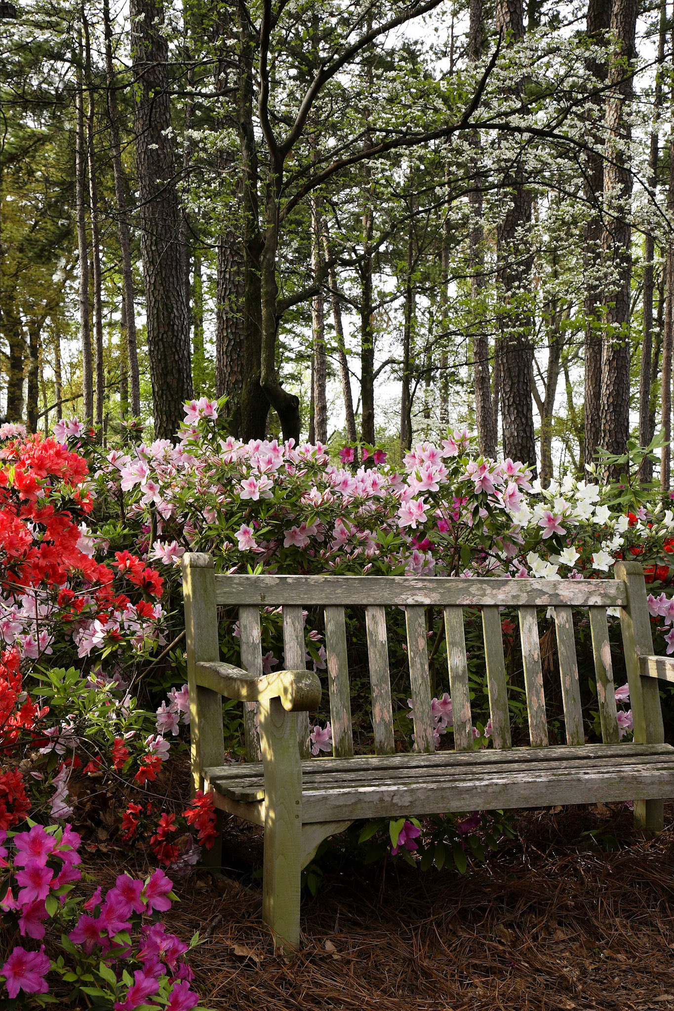 WRAL Gardens, Raleigh, North Carolina